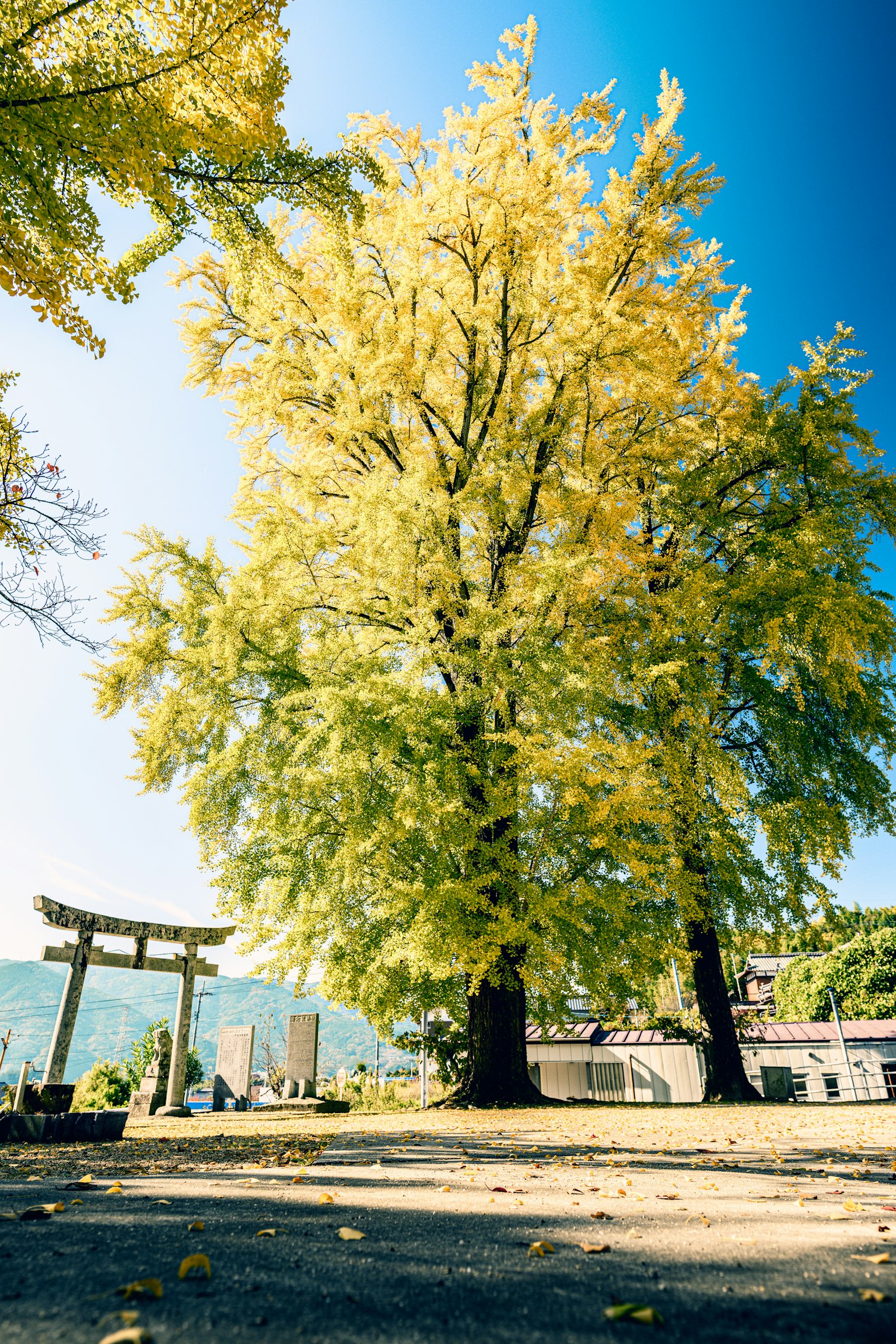 photo-BgV5bvqGaoC1s56QNyxu-image