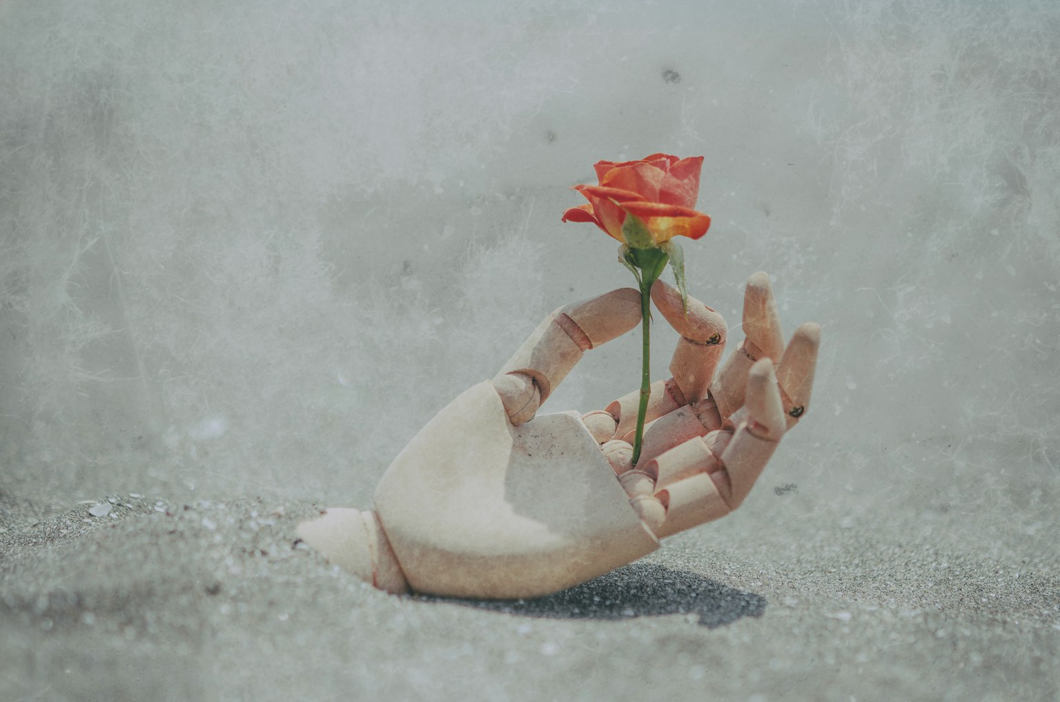 Image d'une main robotique tenant une rose rouge