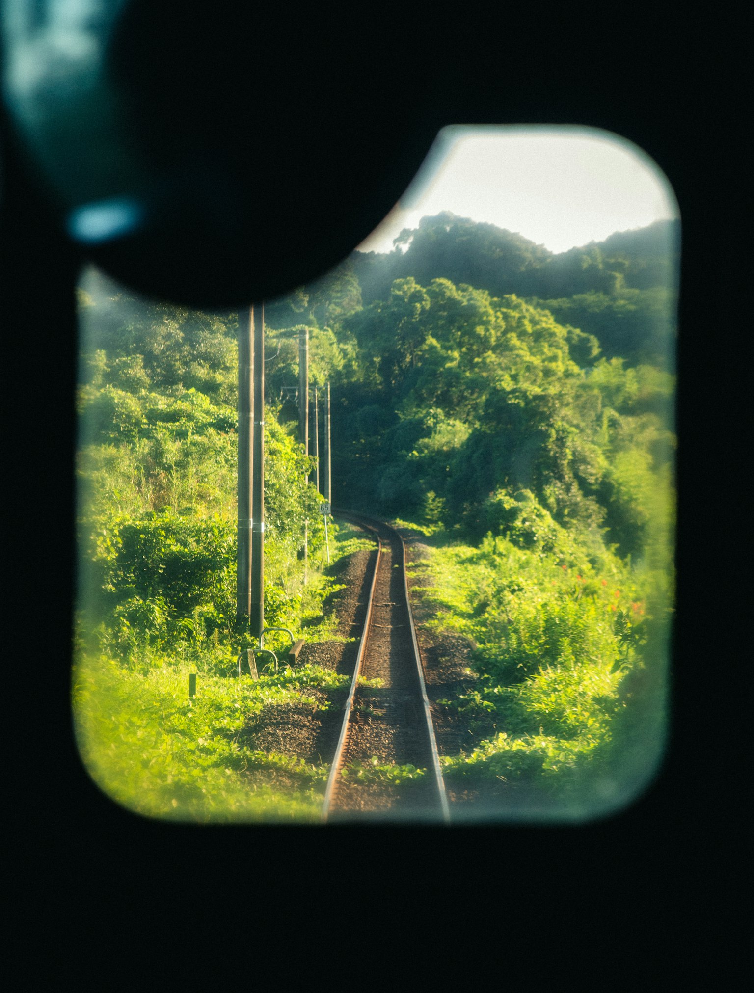 Blick auf die Bahngleise, umgeben von üppigem Grün, durch ein Fenster