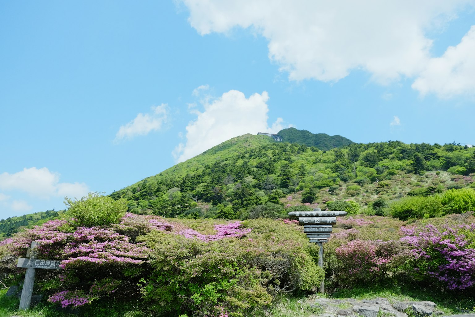 Landscape featuring a green mountain under a blue sky with white clouds and colorful flowers