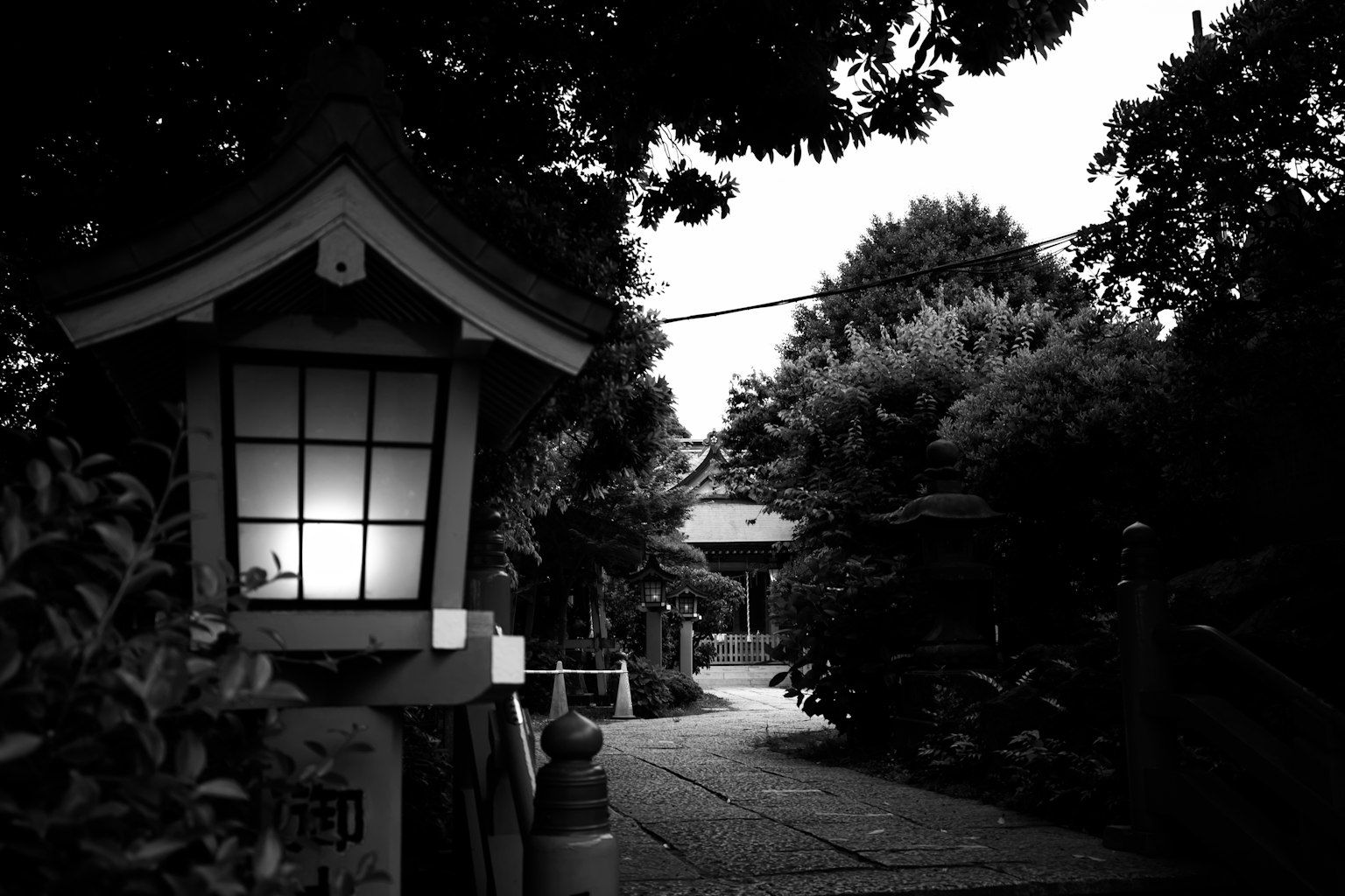 photo-BhCpVIv44XbsE4Gvg2Fr-image