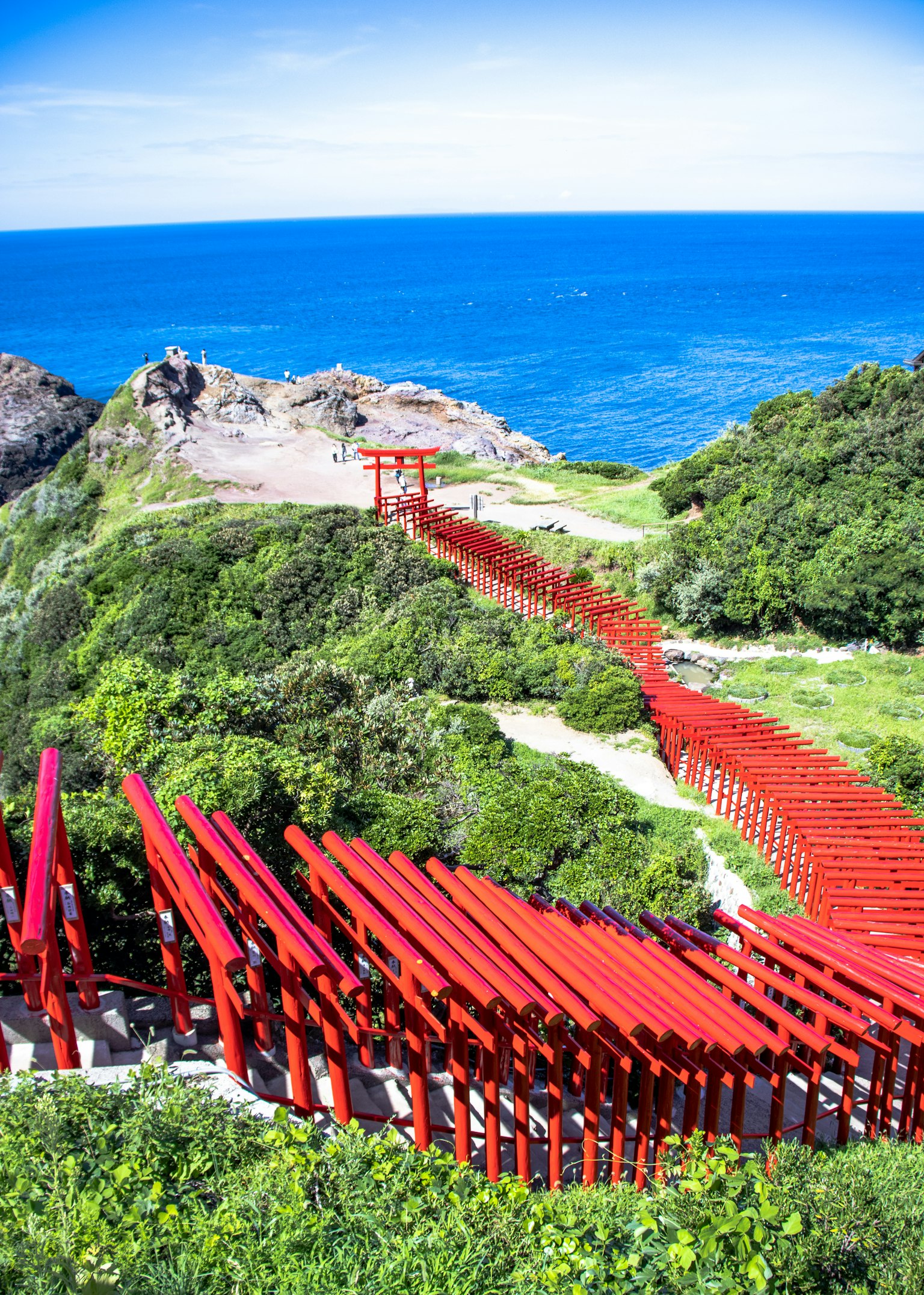 Un chemin de torii rouges entouré de collines vertes et d'un océan bleu
