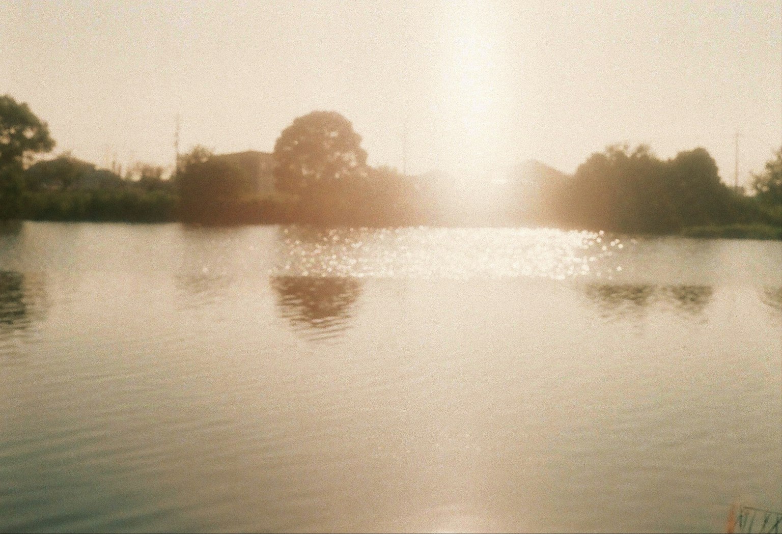 Ruhiger See, der den Sonnenuntergang und silhouettierte Bäume spiegelt