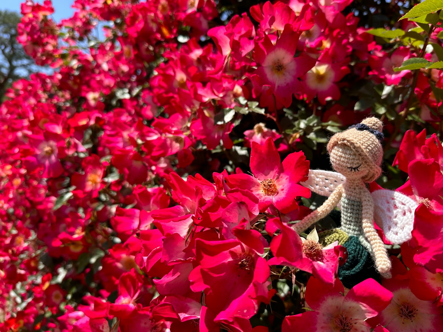 Una piccola bambola fata seduta tra fiori di rosa rosa vivaci