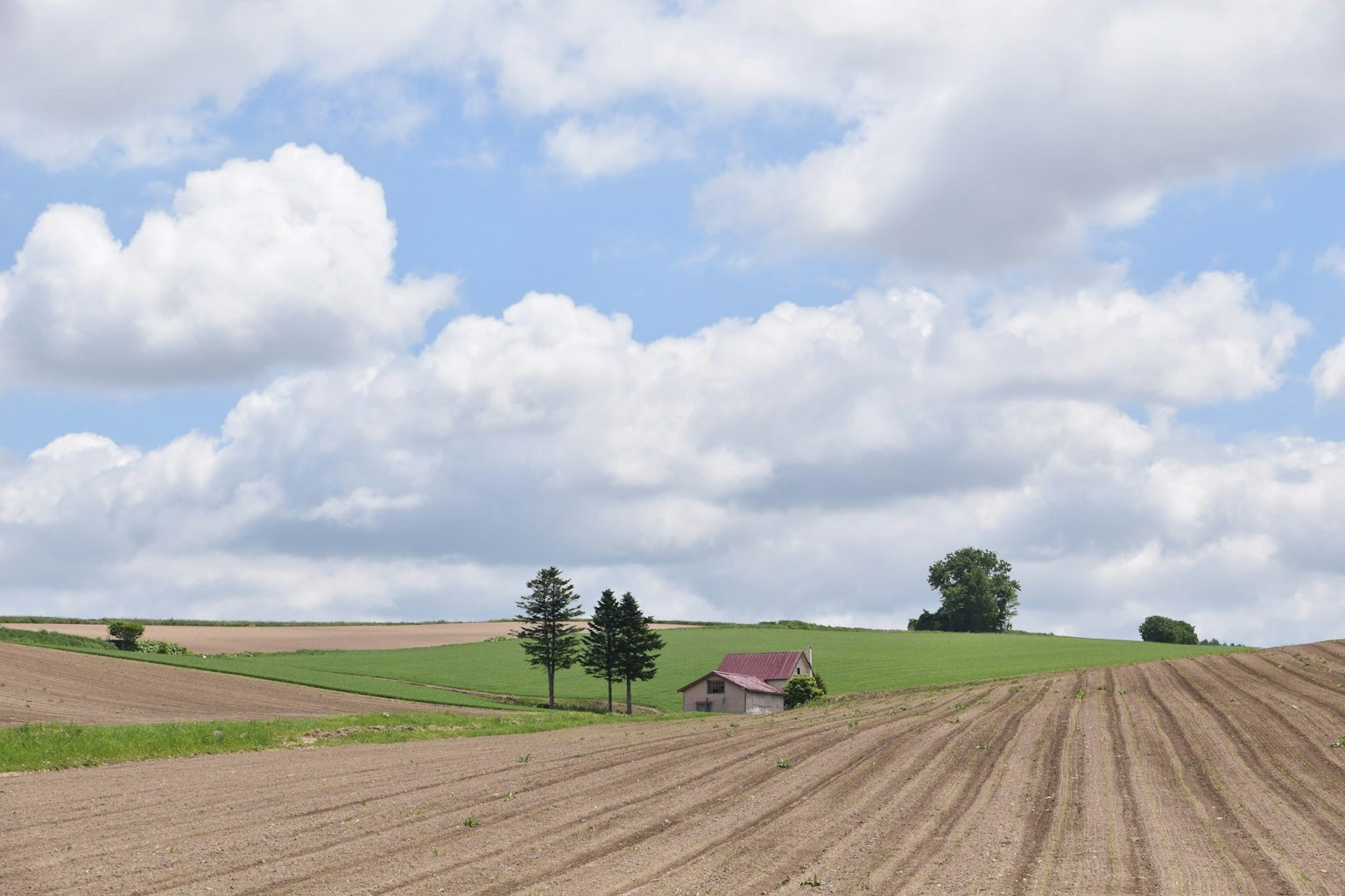 Terreno agricolo con una piccola casa sotto un cielo blu e nuvole bianche