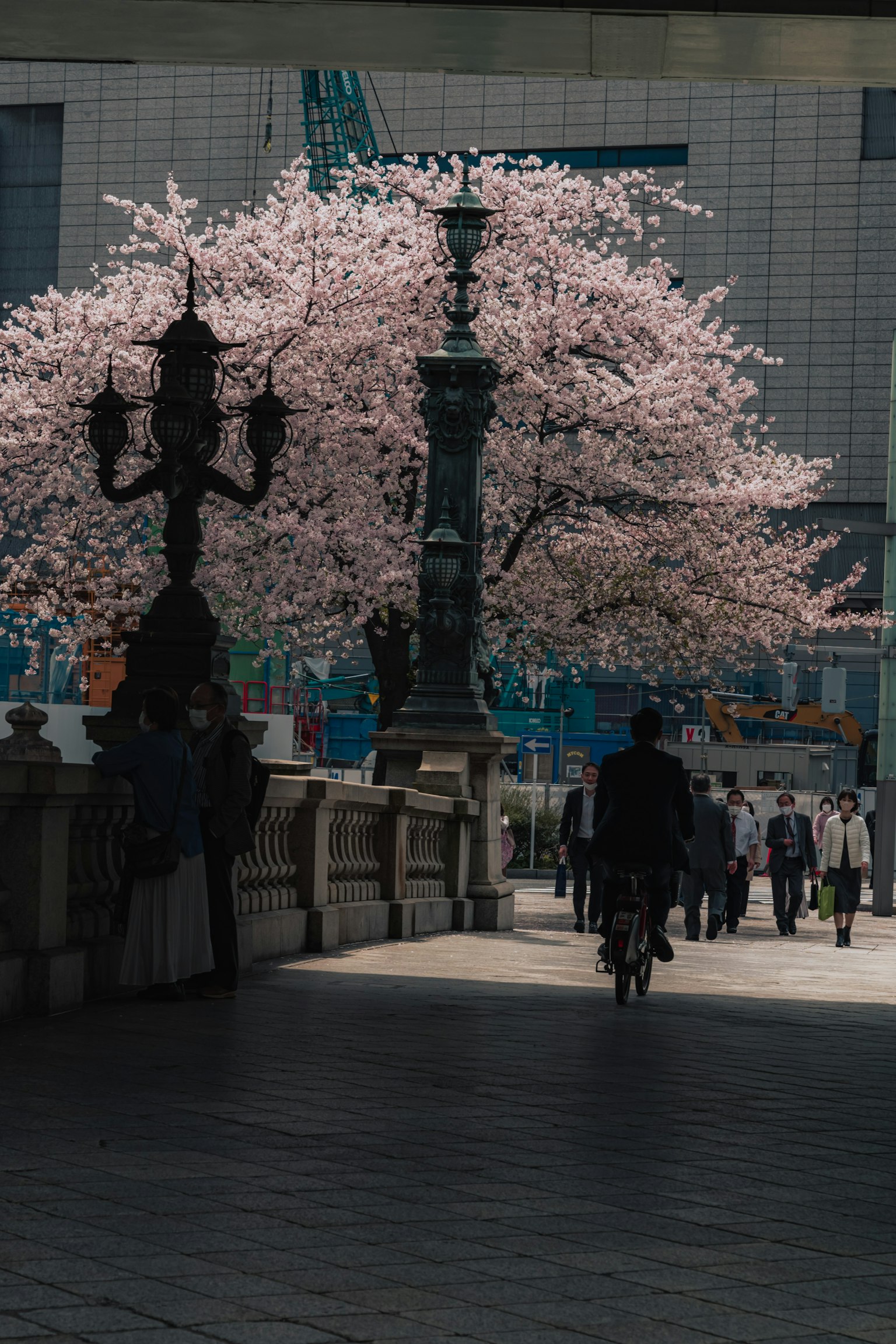 Cityscape featuring blooming cherry blossom trees a cyclist passing by and vintage street lamps
