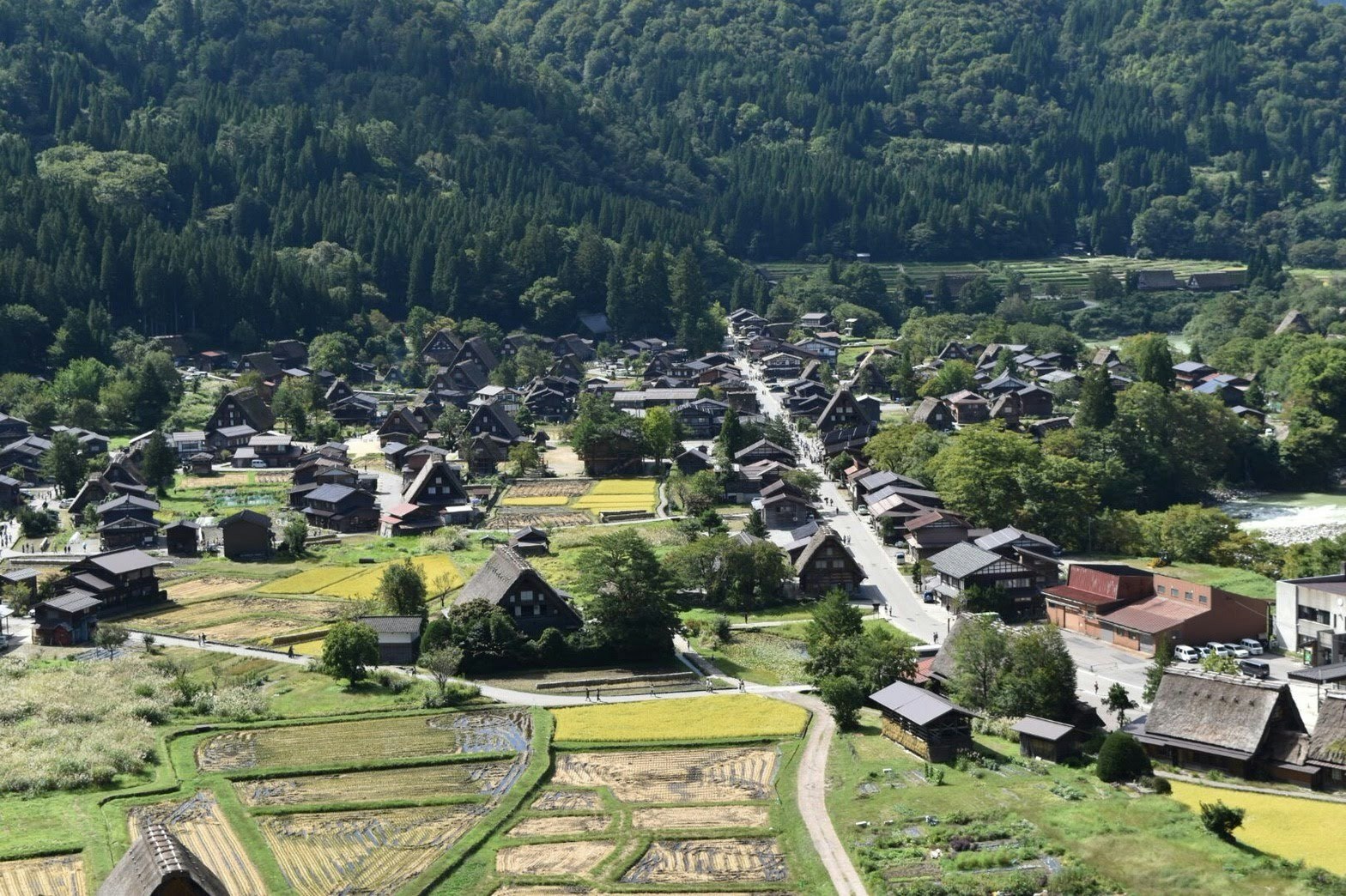 vista aérea de un pueblo en un valle verde con campos