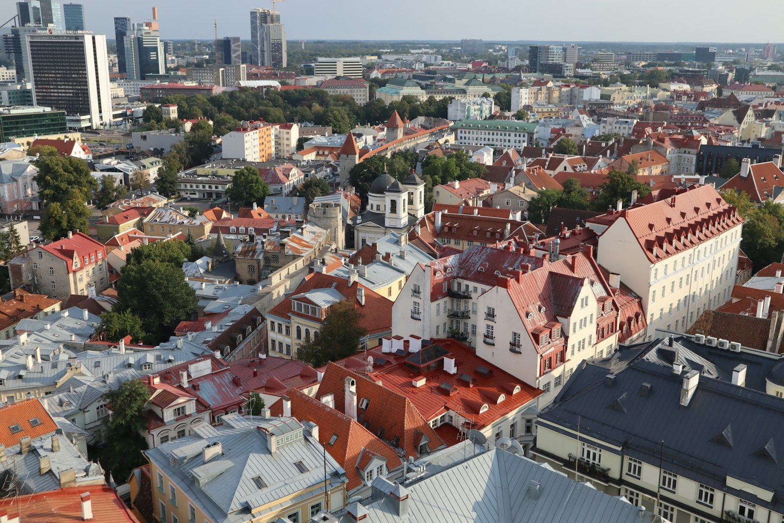 Vista panoramica di Tallinn con edifici storici con tetti rossi