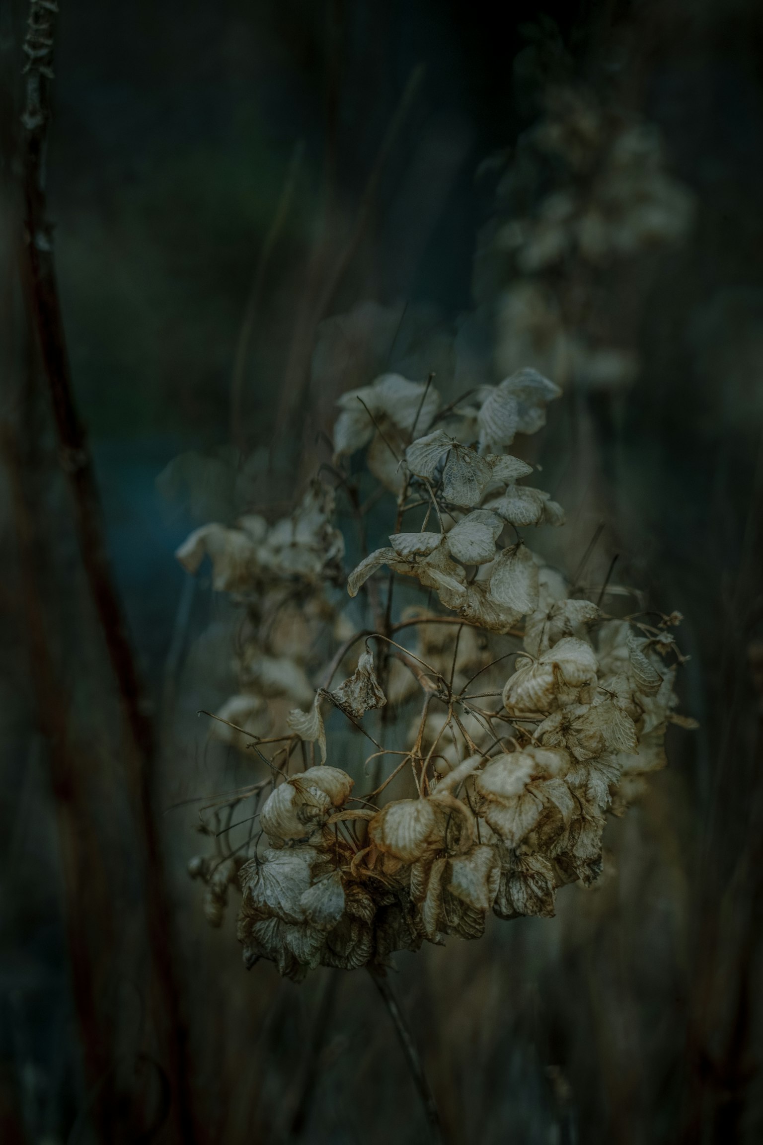 photo-BlFGVTaaVXw69X6bo35X-image