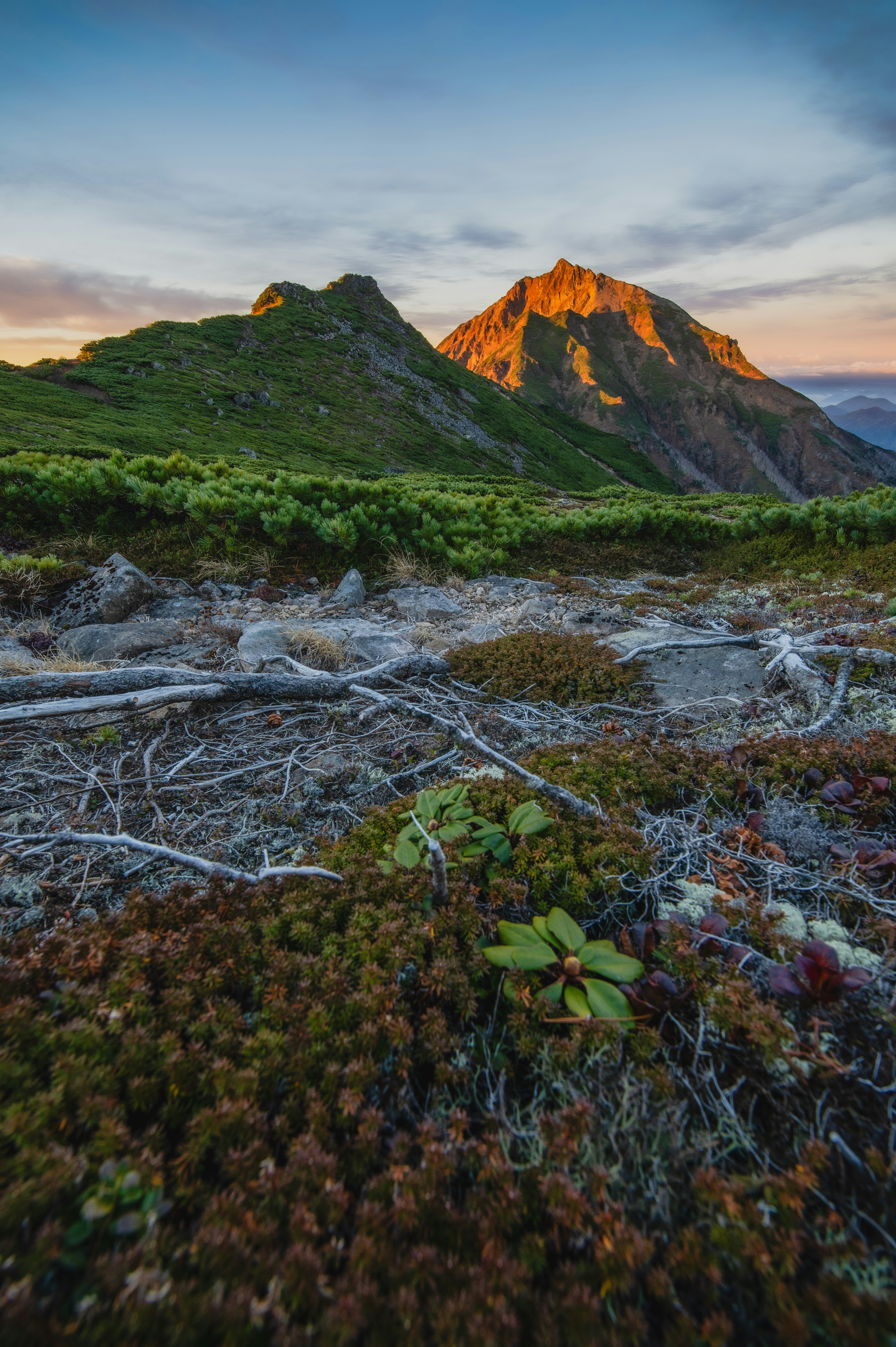 夕暮れの草原に広がる岩と山並みの風景