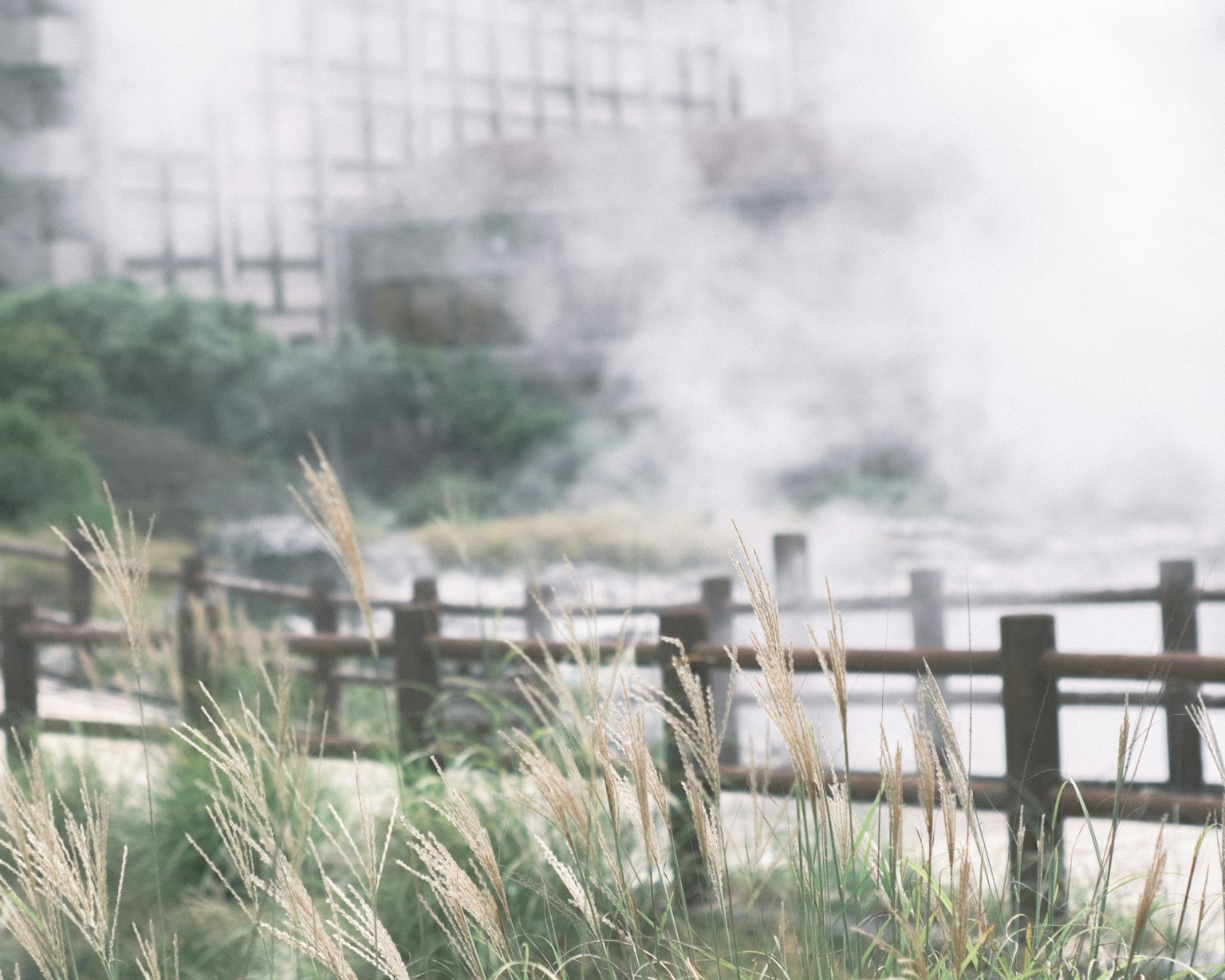 Scenic view of a hot spring area with rising steam and wooden fence