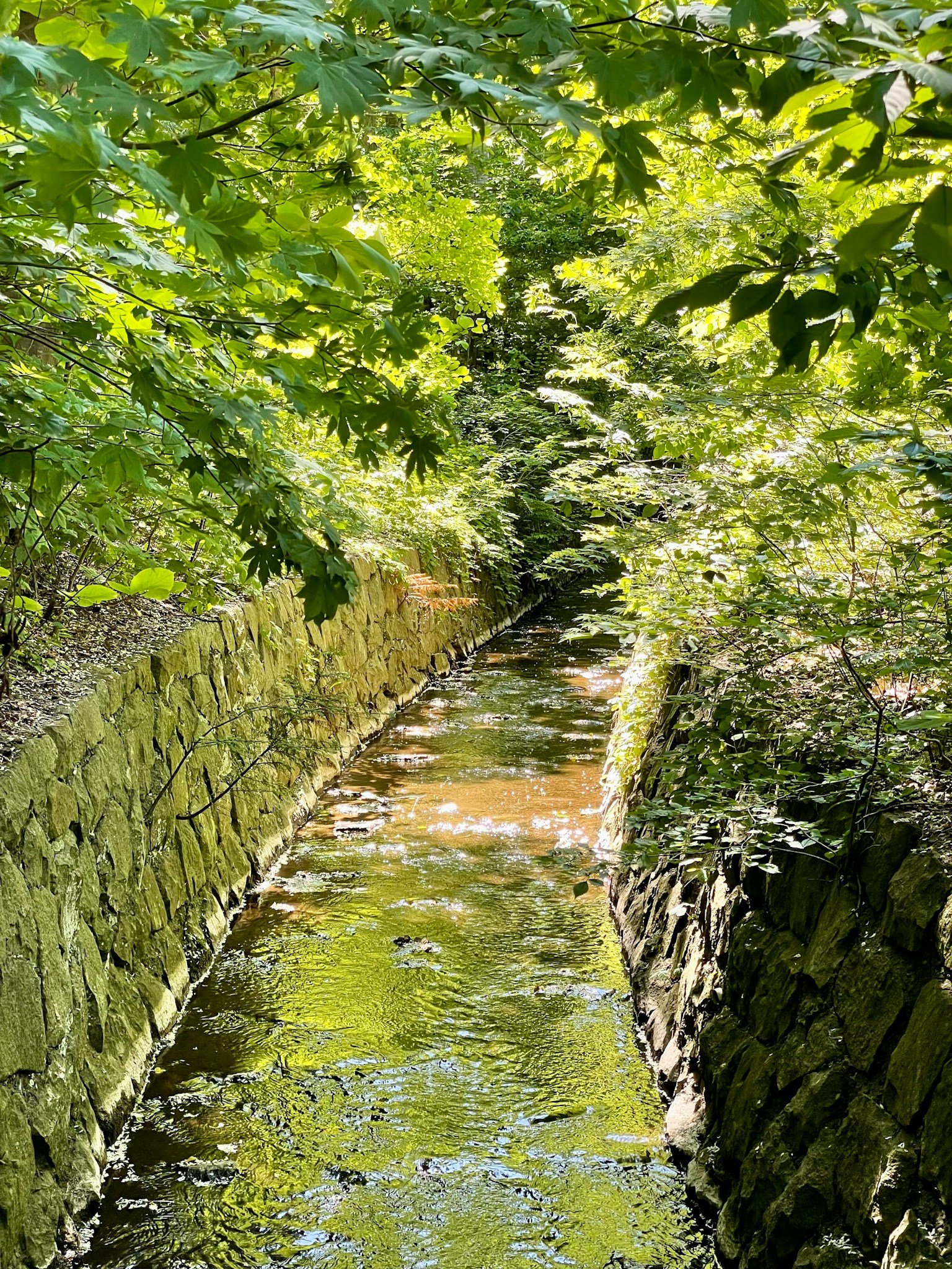 photo-BljDsnKVvZRejsDfGFsH-image