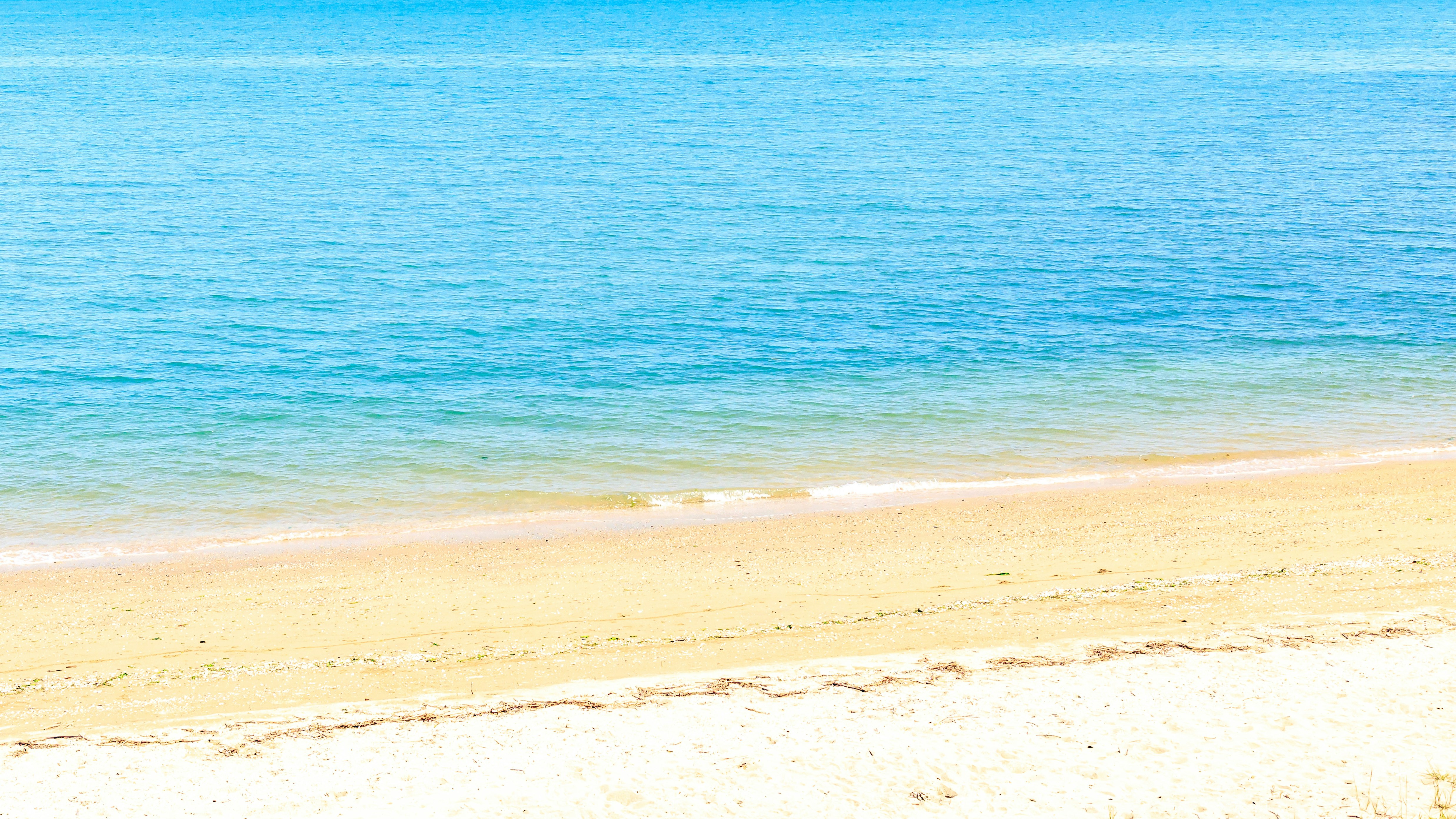 beach scene with blue ocean and white sandy shore