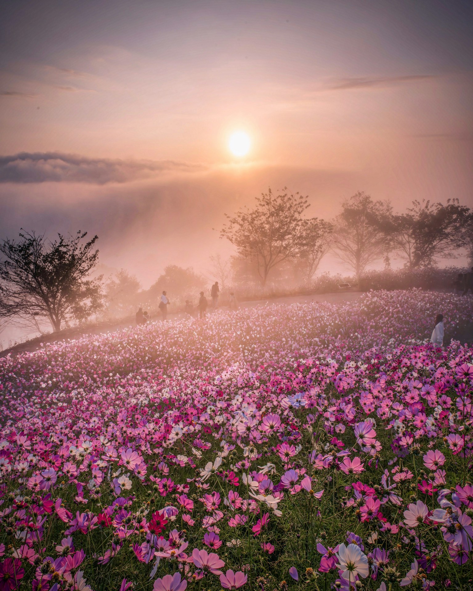 photo-BlwQaSe92ld1hqBI2nHW-image
