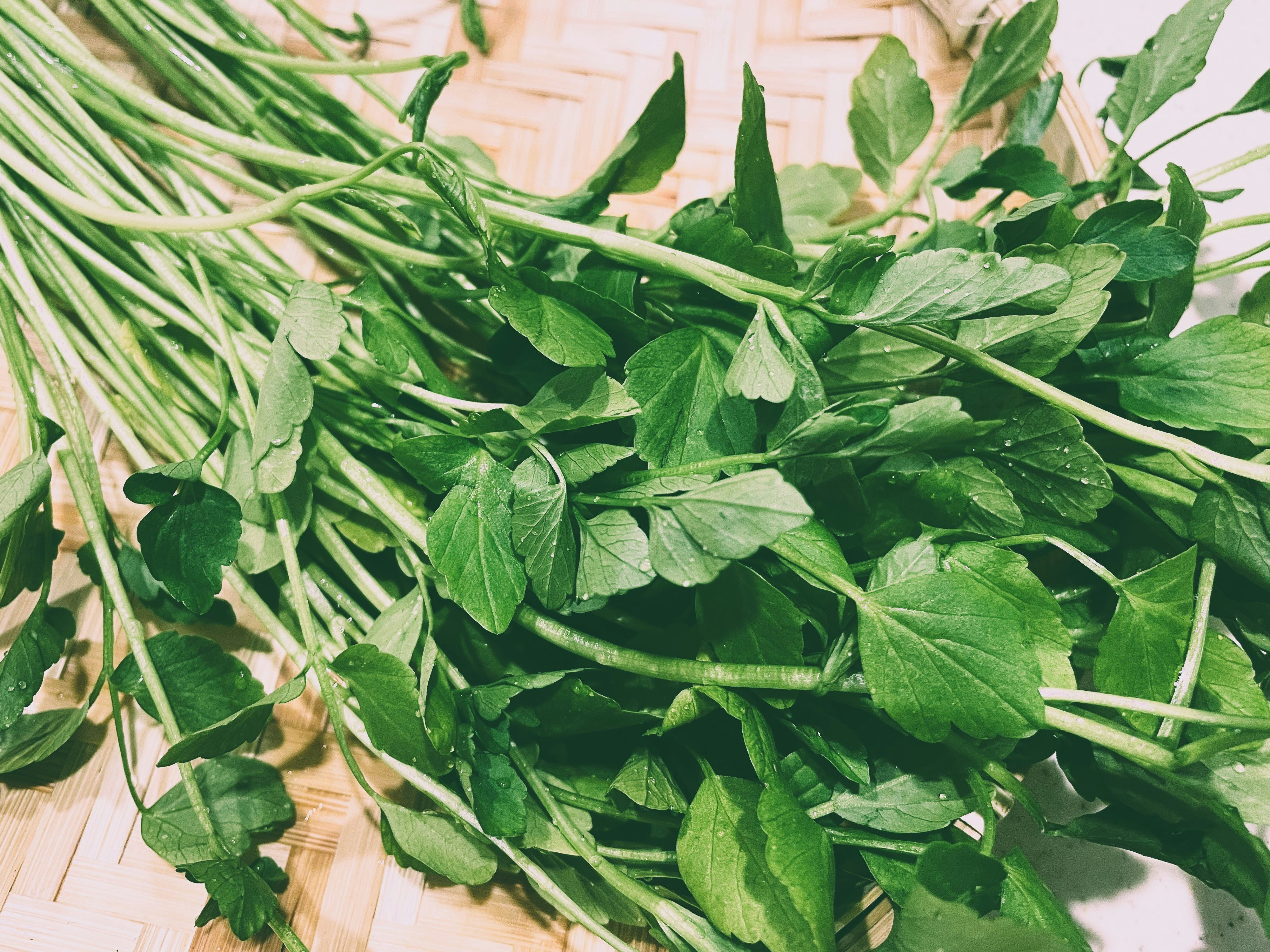 木桌上摆放的新鲜绿叶蔬菜一束
