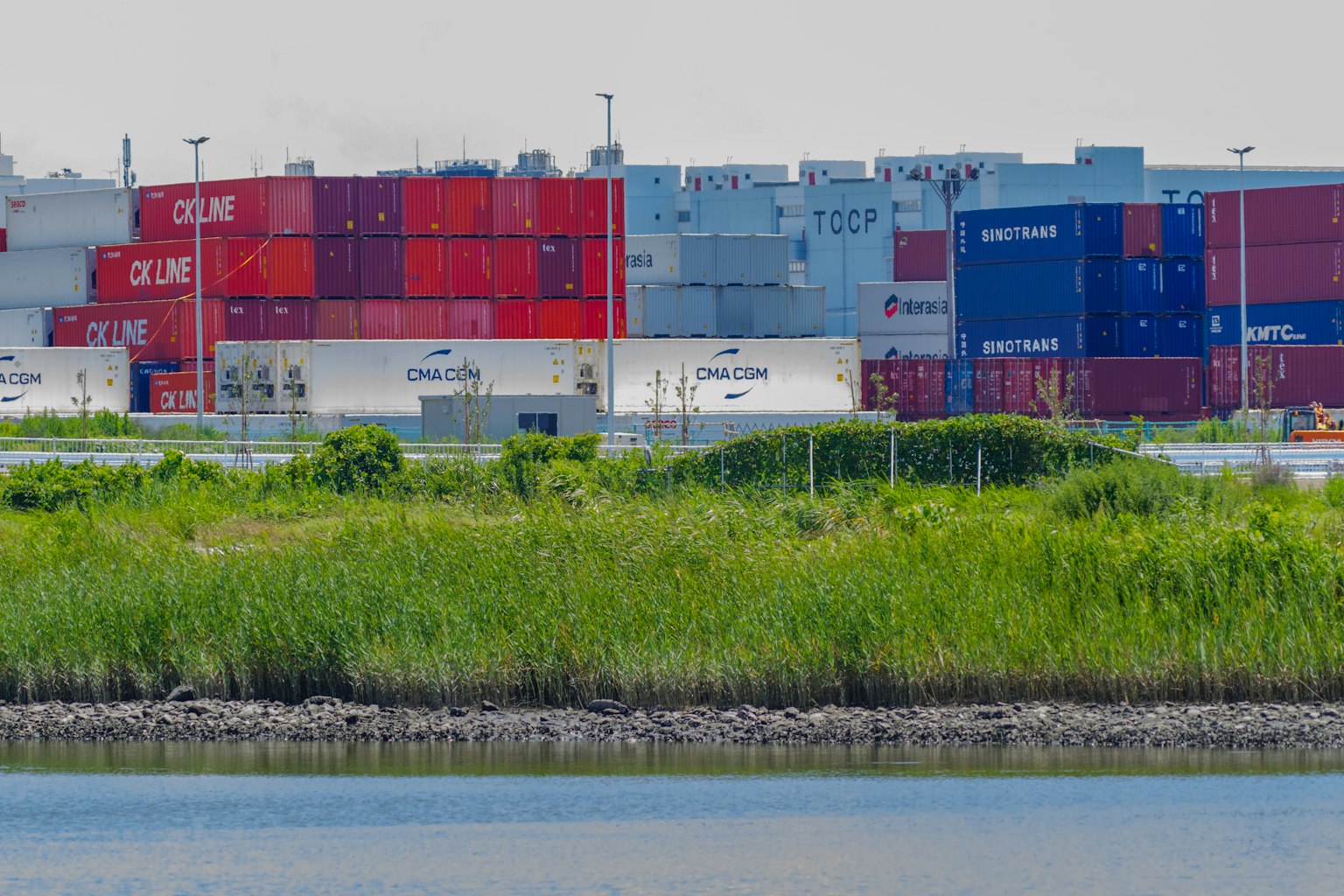 Bunte Frachtcontainer in einem Hafen mit grünem Gras im Vordergrund