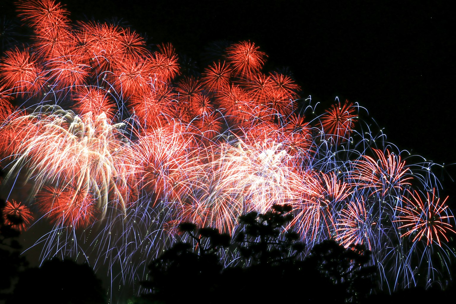 Feux d'artifice colorés en rouge et bleu éclatant dans le ciel nocturne