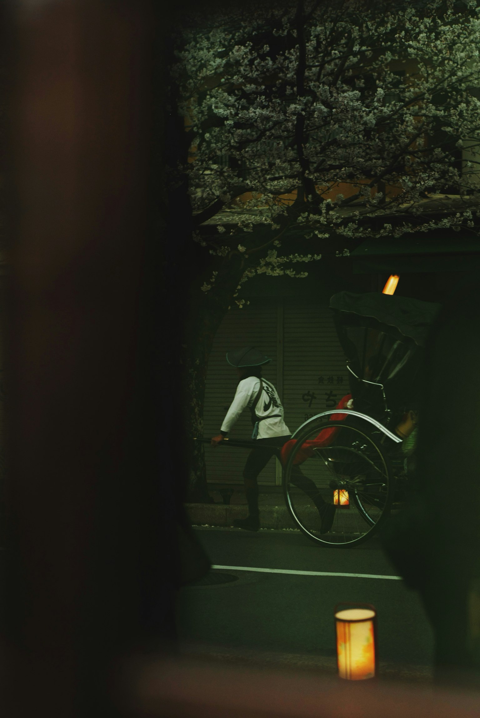 A person pushing a rickshaw under cherry blossom trees at night