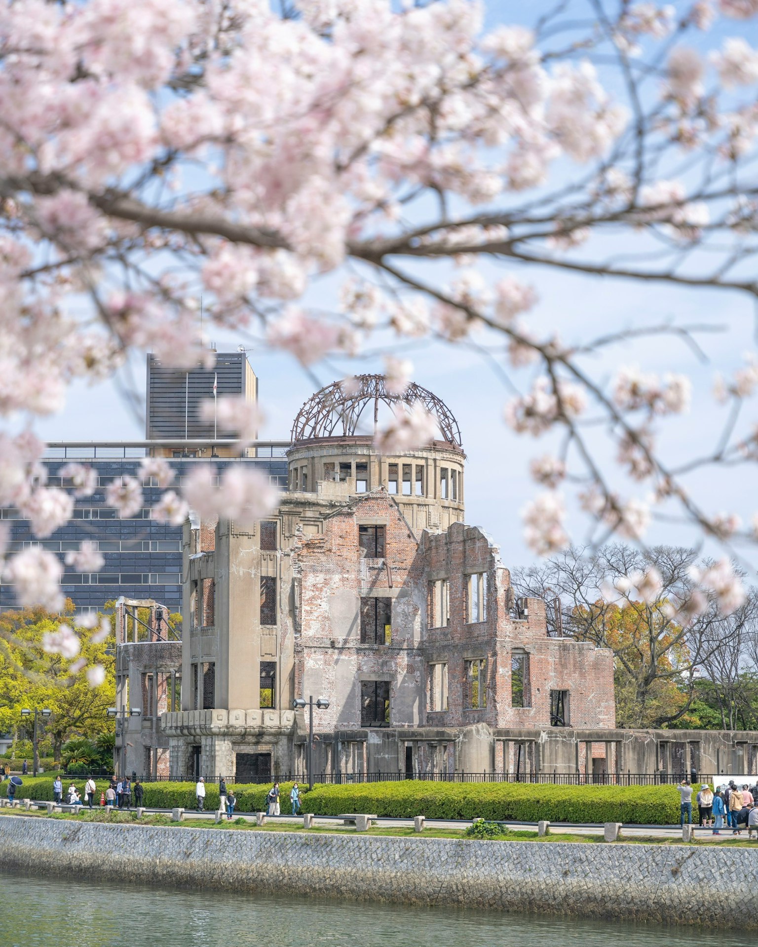 Hiroshima Peace Memorial Park with the Atomic Bomb Dome and cherry blossoms