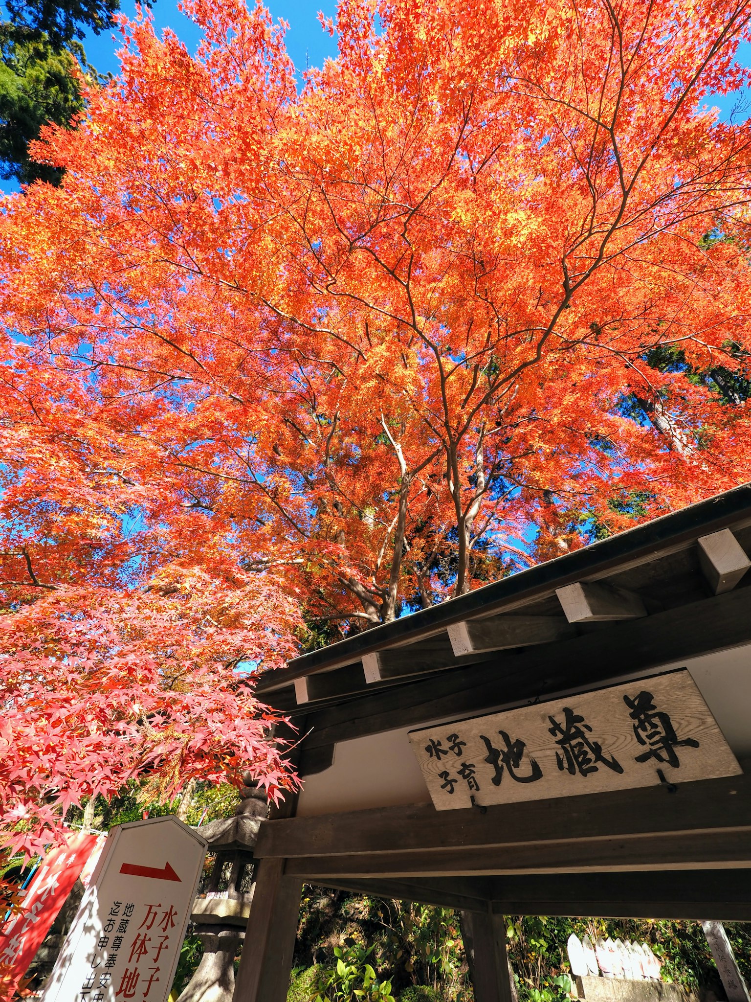 Follaje de otoño vibrante con una entrada de edificio japonés tradicional