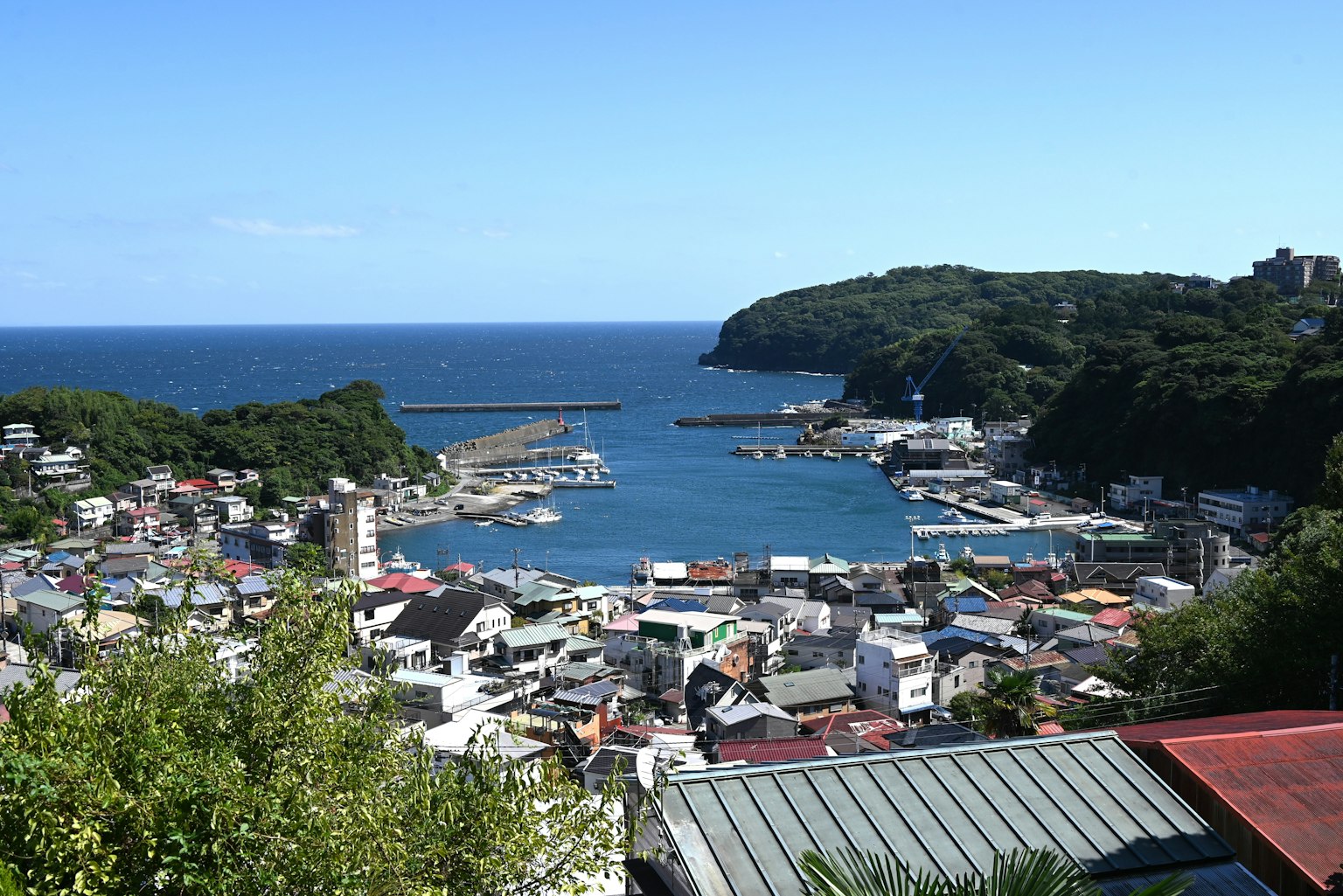 Scenic view of a harbor with colorful houses surrounded by green hills and a clear blue sky