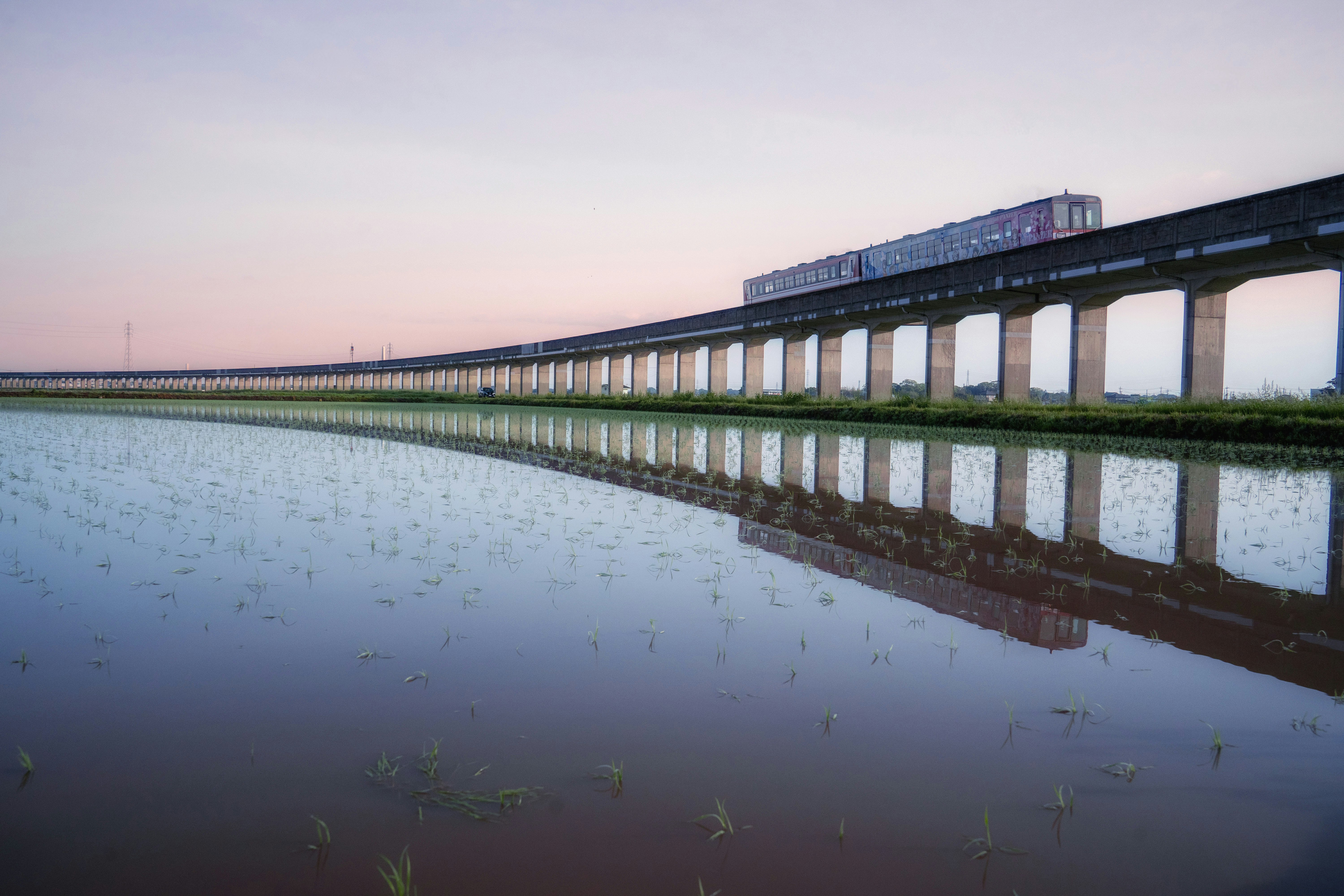 夕暮れの水面に映る陸橋と電車