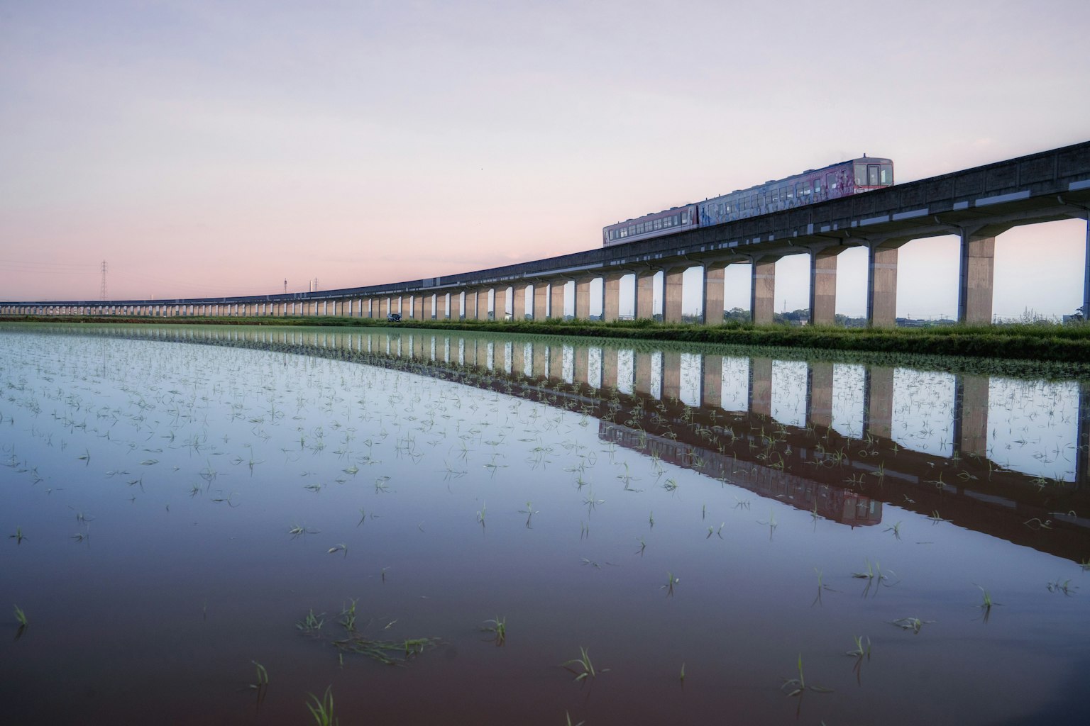 桥在稻田上方的倒影与宁静的天空