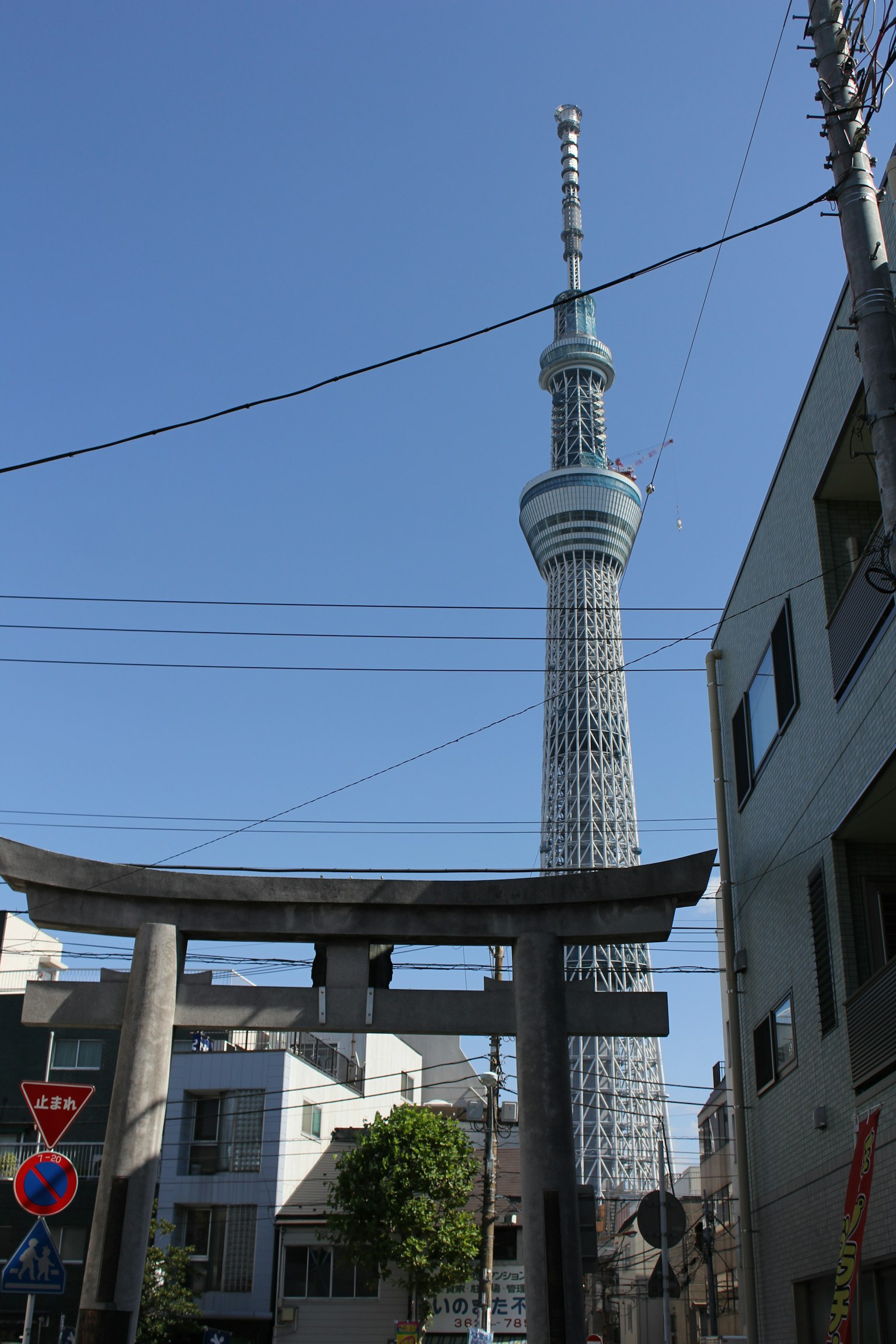 透過傳統鳥居可見的東京晴空塔