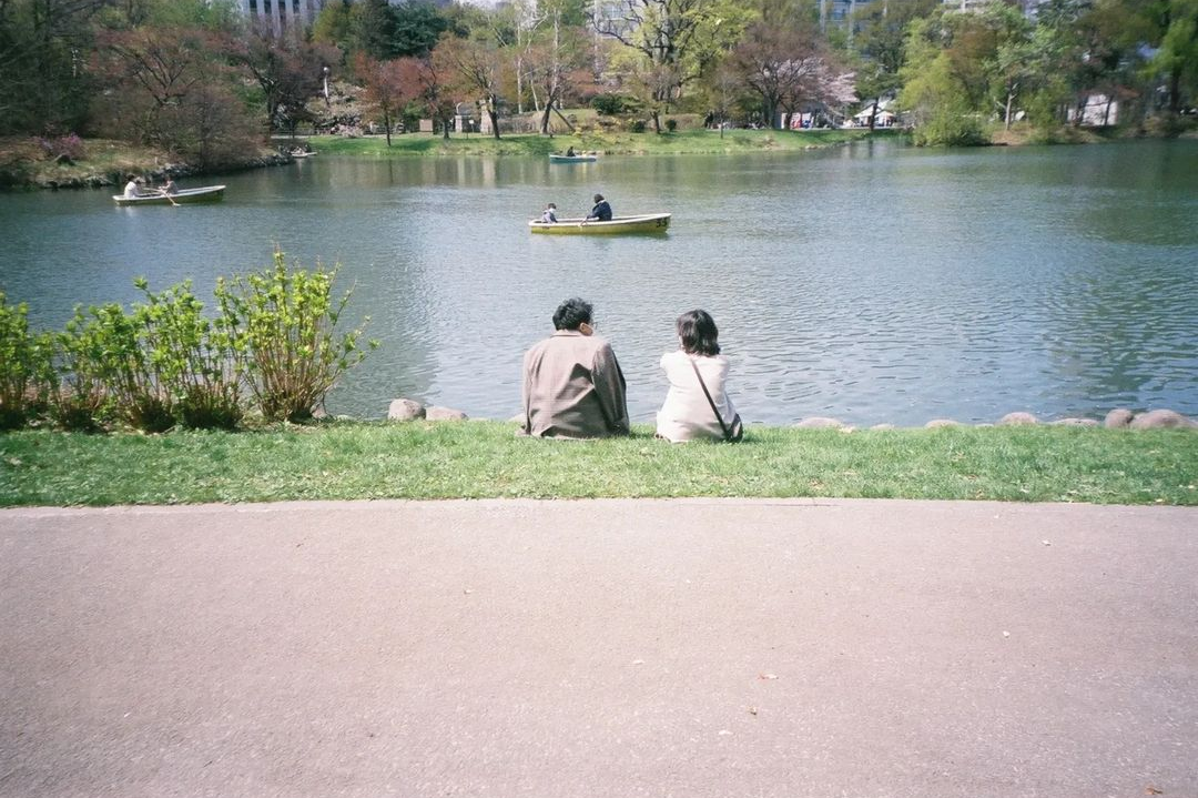 公園湖邊長椅上兩個人的背影