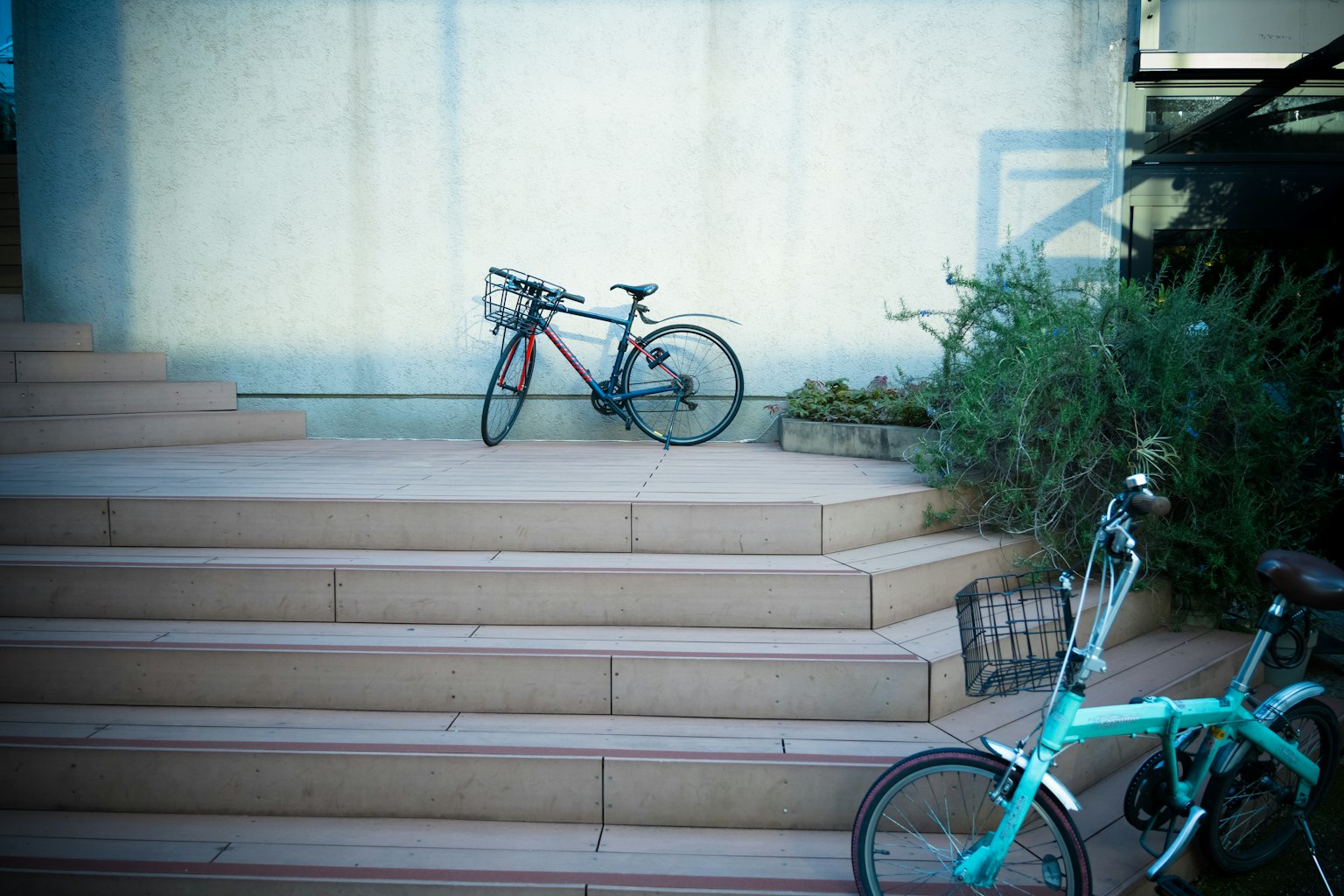Dos bicicletas descansando en escaleras con vegetación al fondo