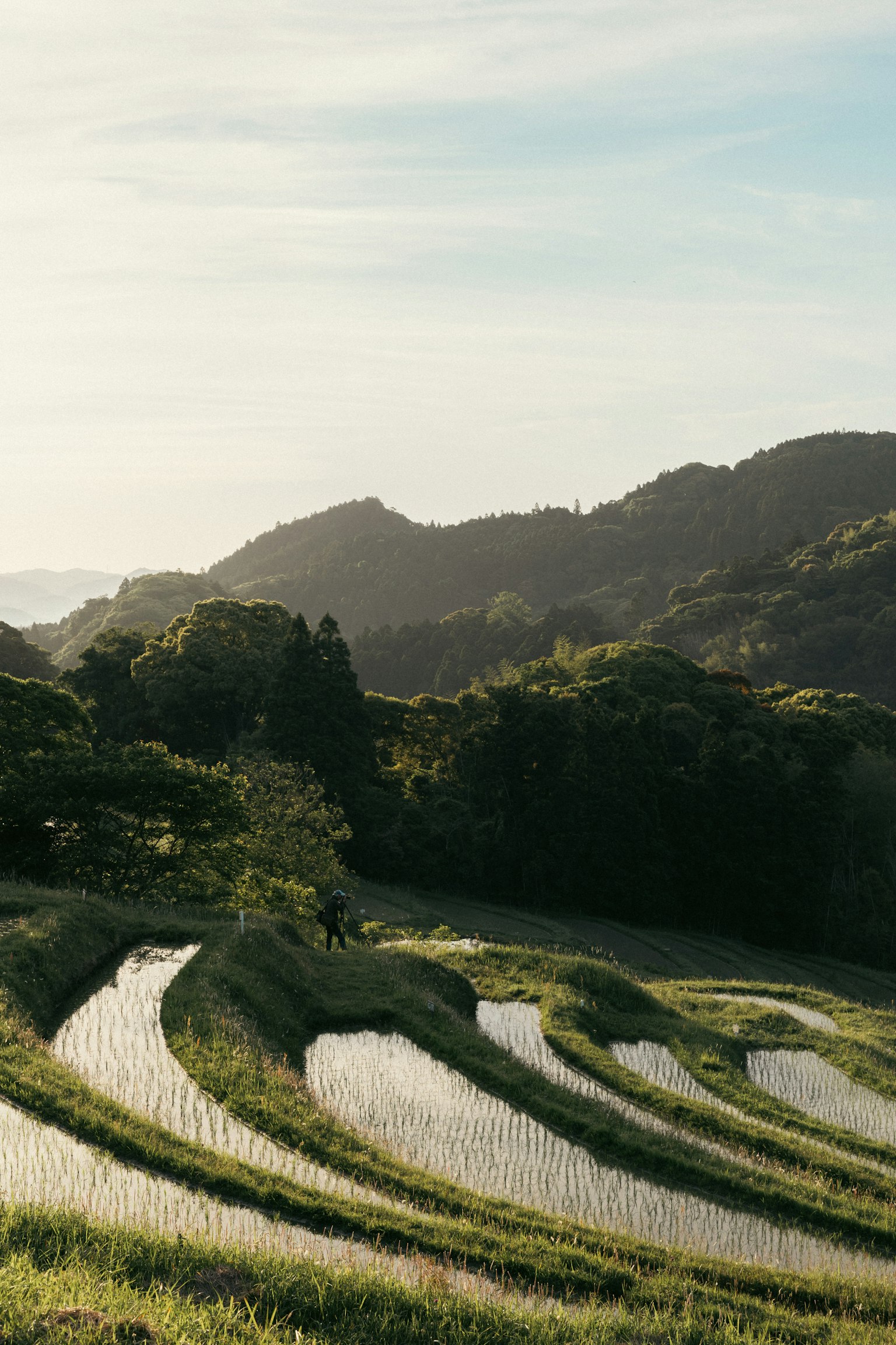 美丽的梯田和翠绿的山脉背景
