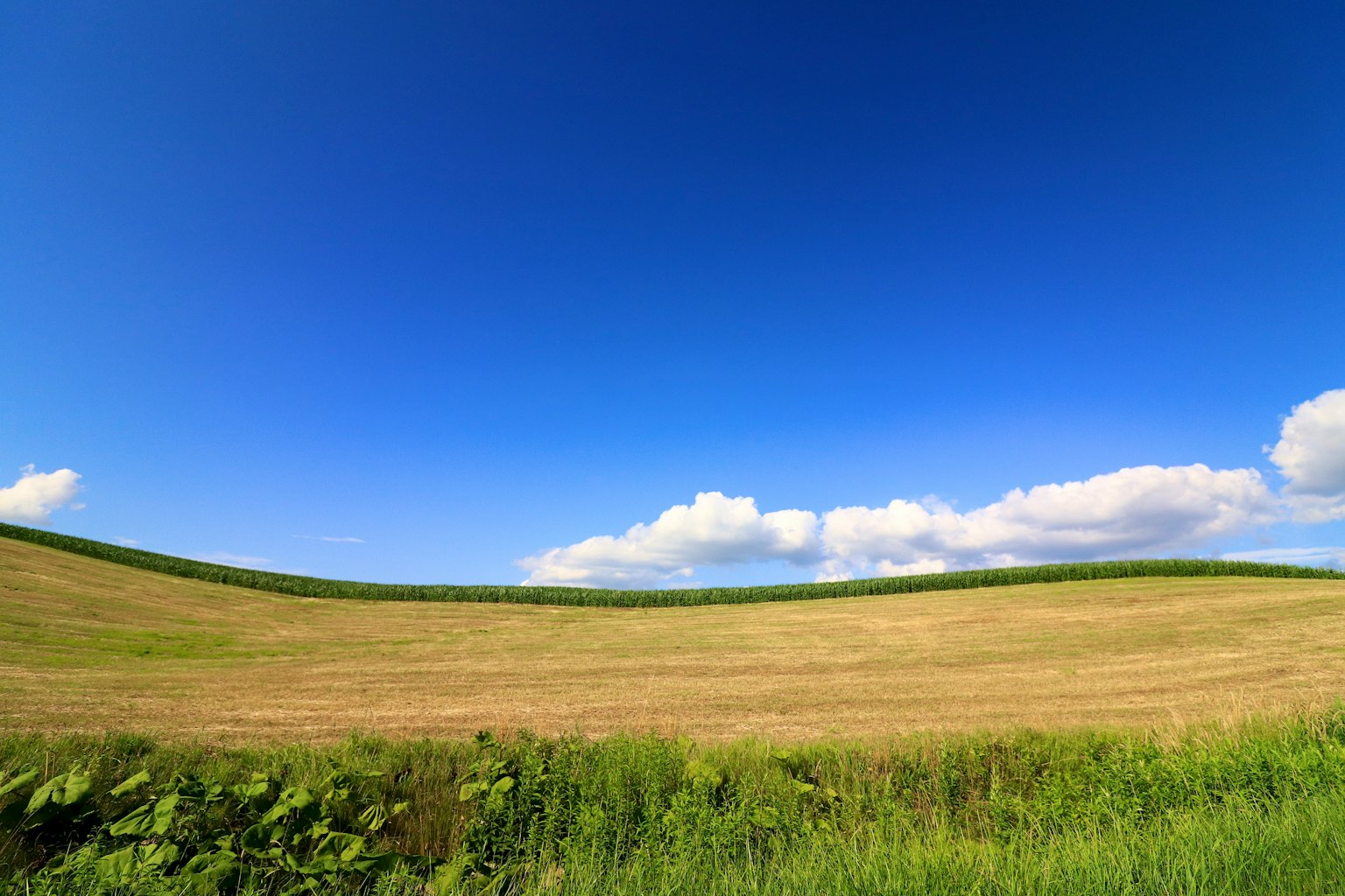 Paesaggio con cielo blu e nuvole sopra colline verdi