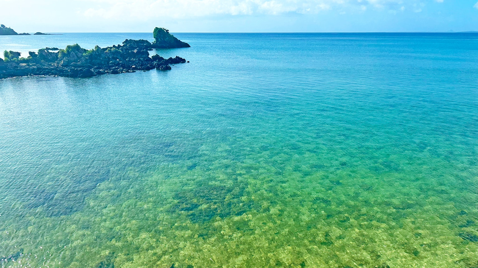 Hermosa escena de playa con mar azul y vegetación submarina verde