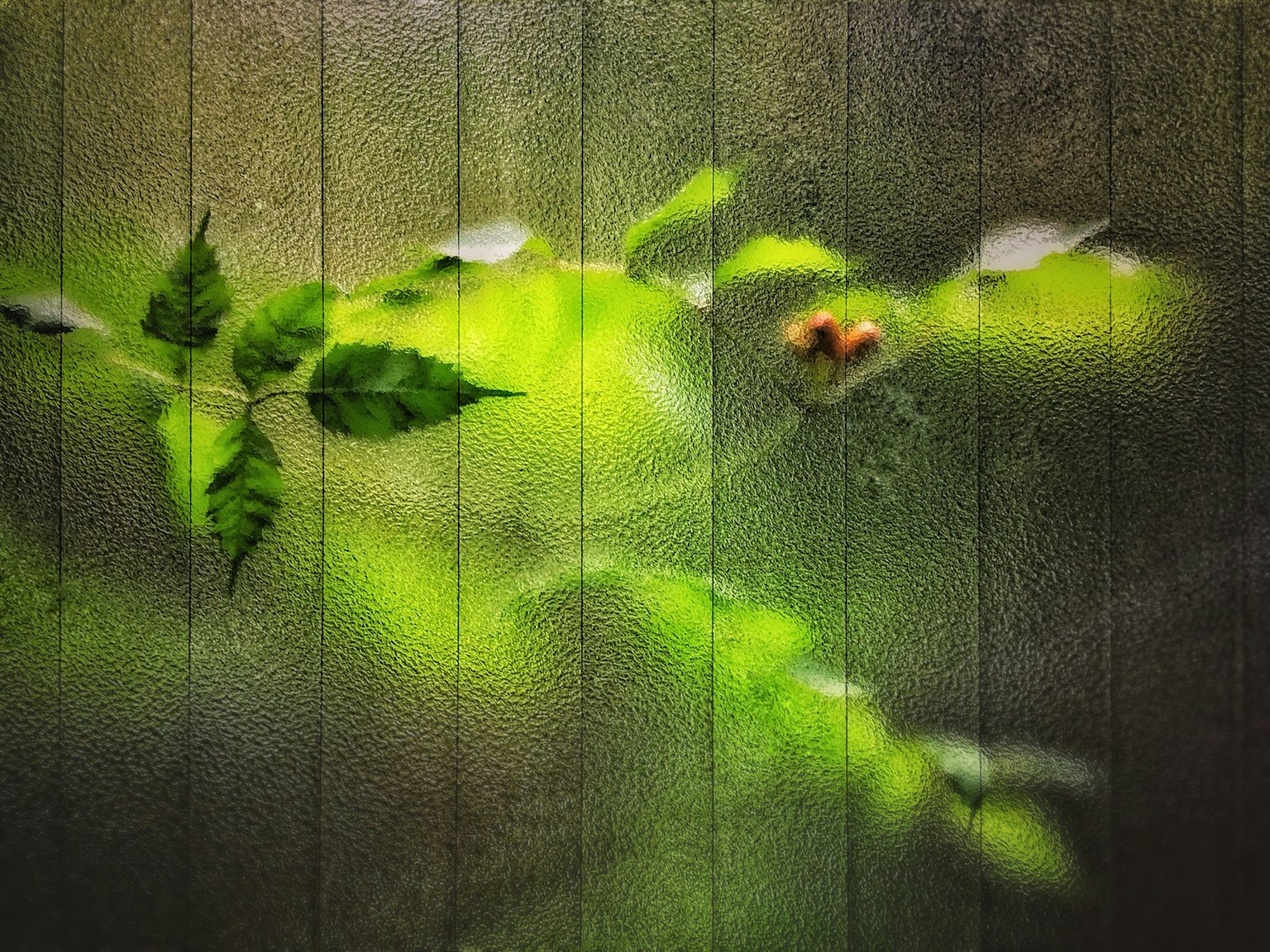 photo-BrL3SZHjQzz13c8NIzm5-image