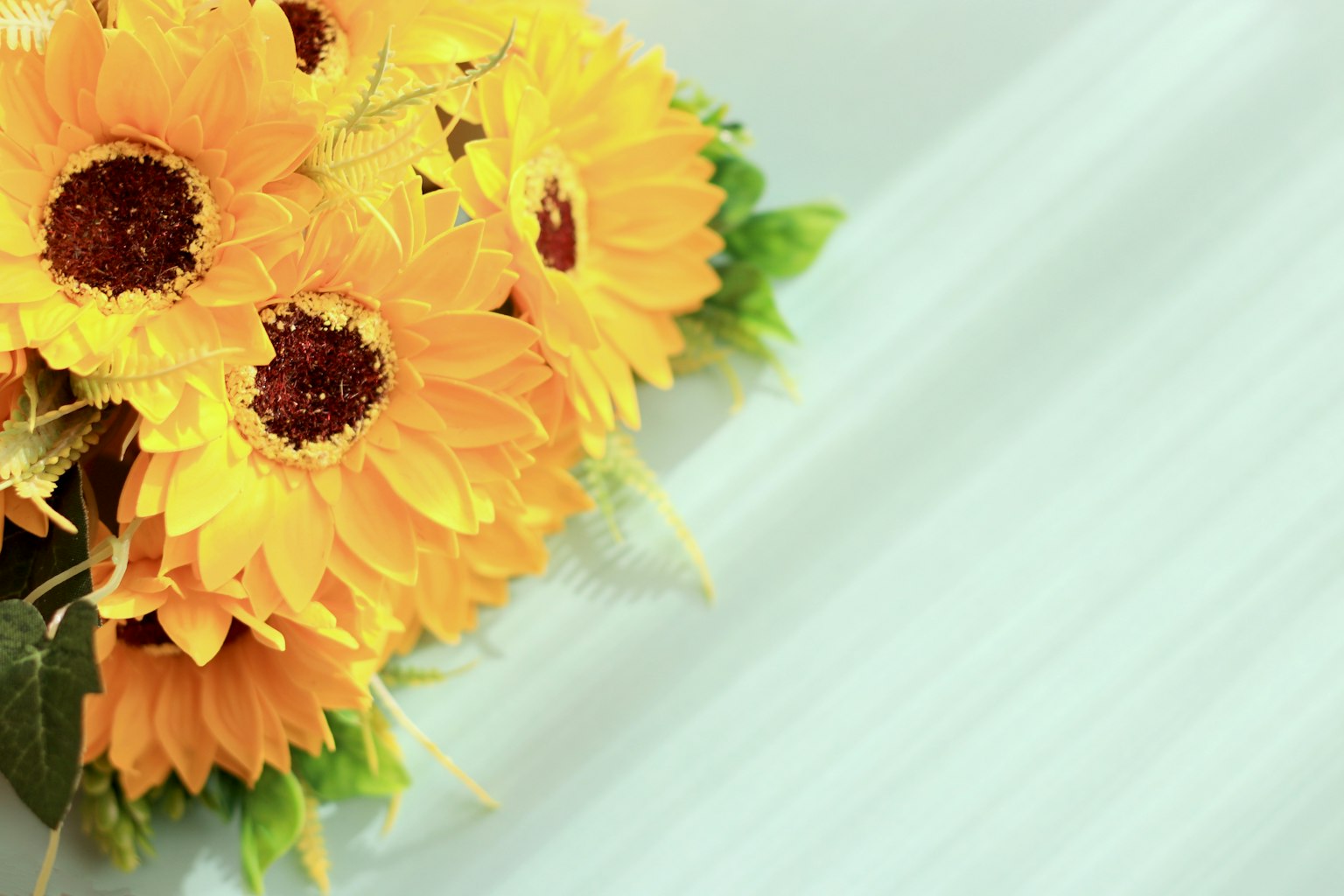 Bó hoa hướng dương sáng với lá xanh