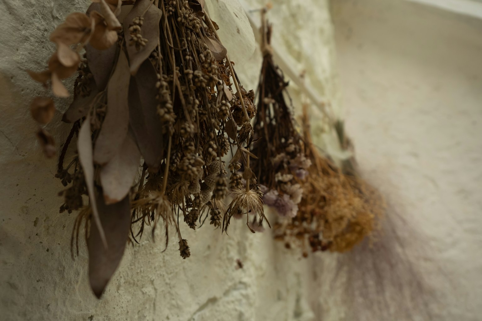 A bundle of dried flowers and plants hanging on a wall