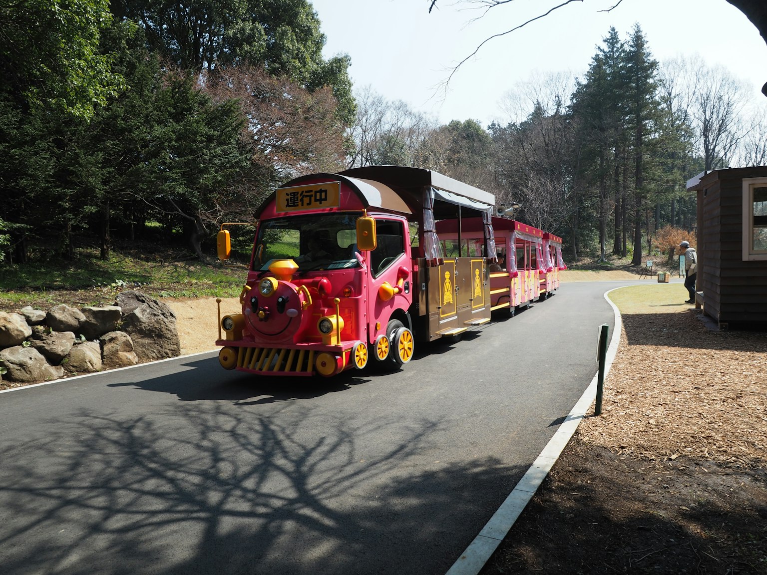 Tren colorido circulando por un camino en el parque