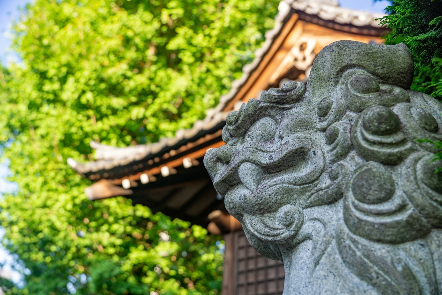 石狮雕像与传统建筑和绿树背景