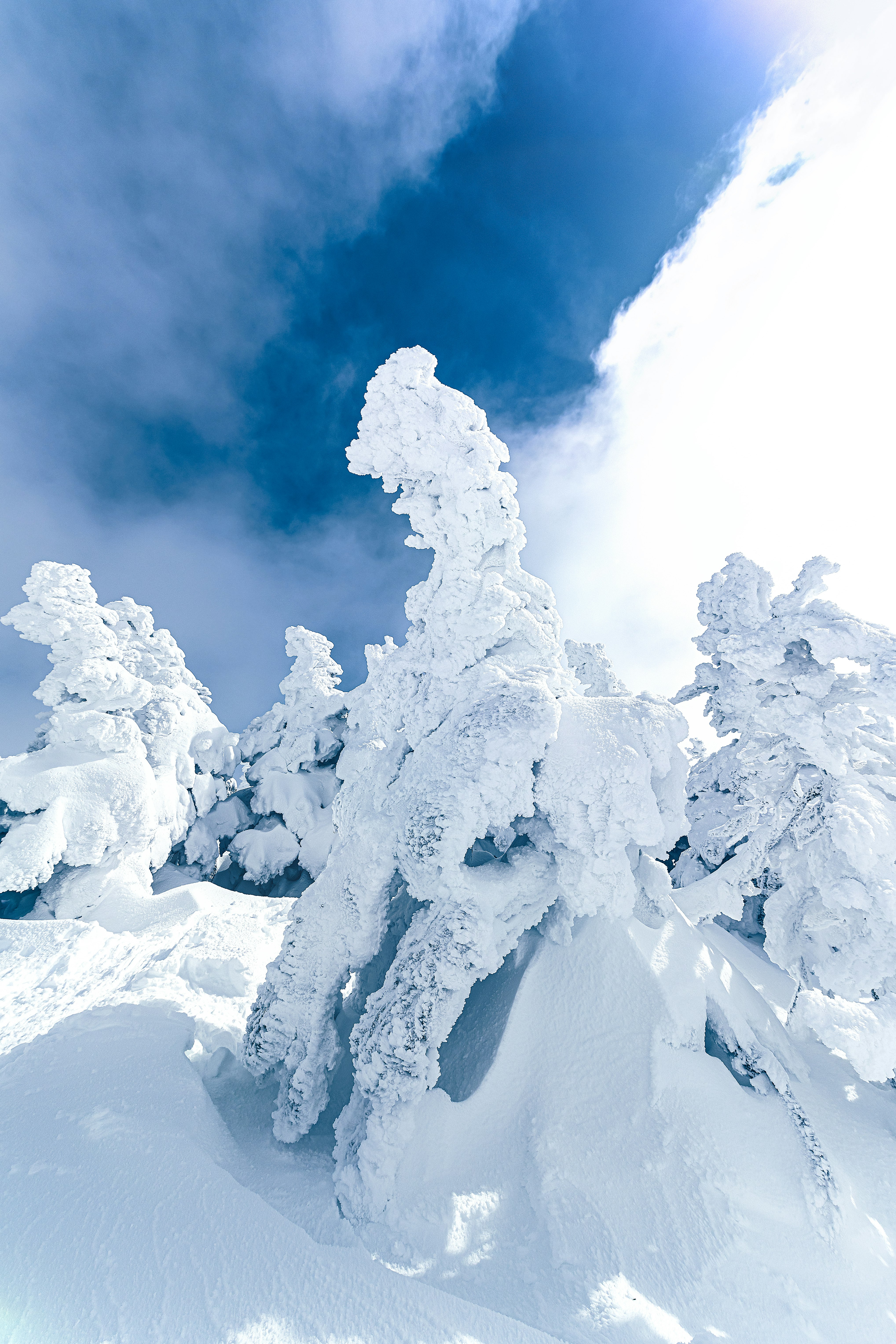 八甲田山の樹氷（スノーモンスター）と雪景色