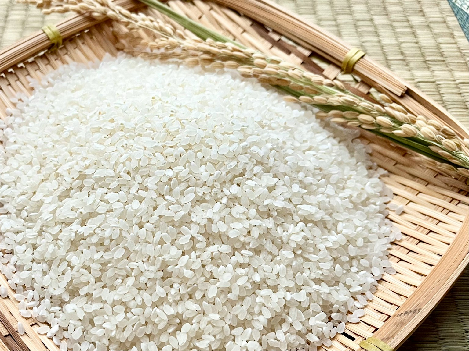 一个装满白米的篮子旁边有稻穗