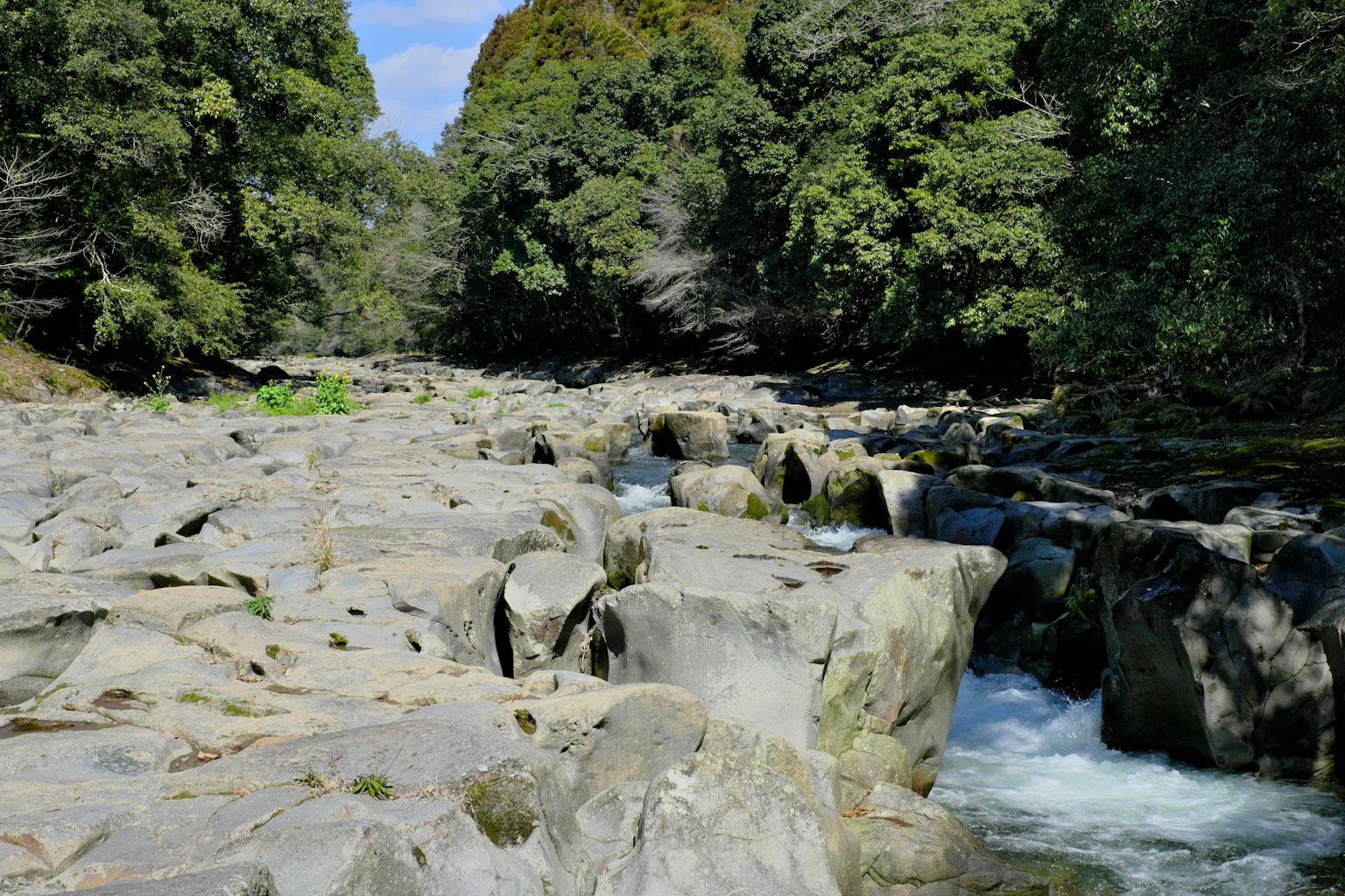 photo-BtRy5julVdcOx4x1TIHO-image