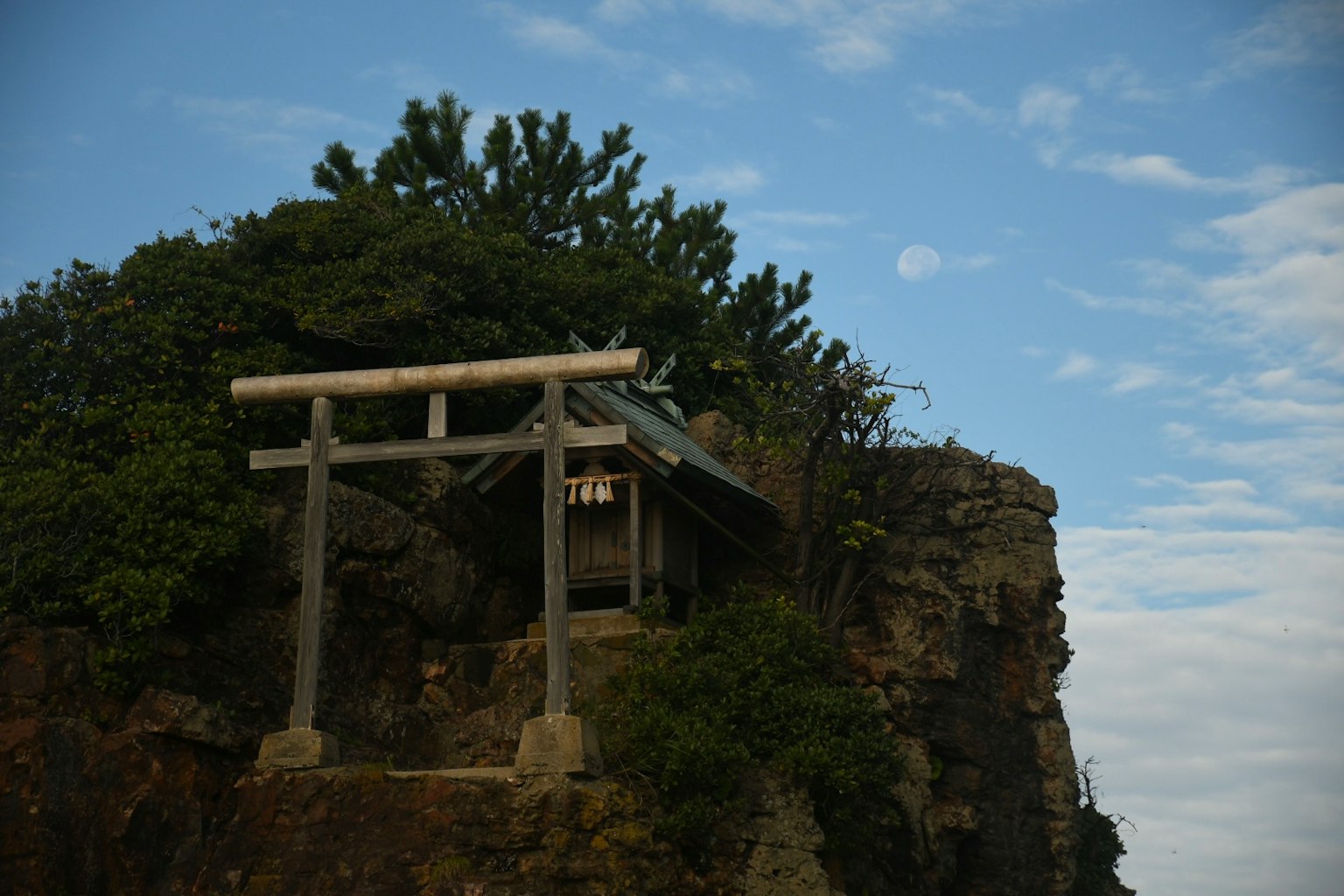 岩石上的鸟居和周围的绿树