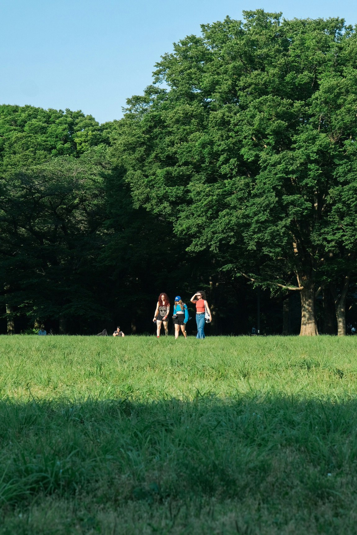 緑の芝生と木々に囲まれた公園で友達と過ごす夏の空の下