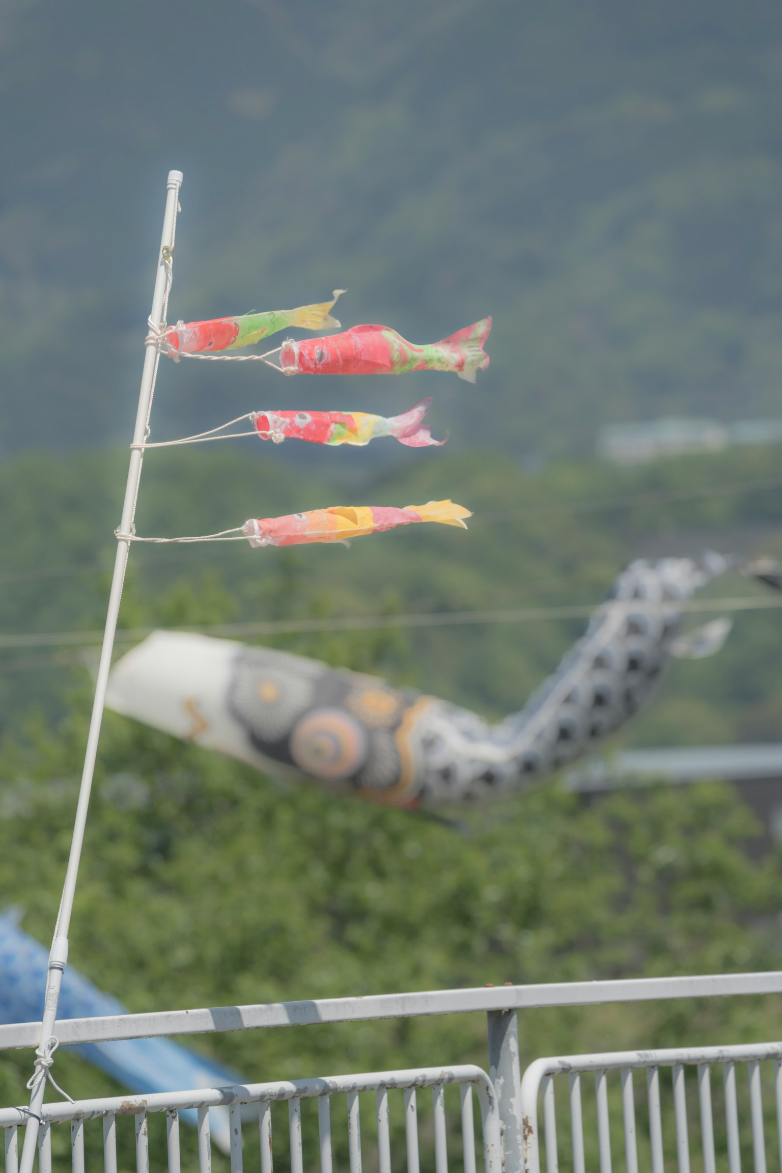 Drapeaux de koi colorés flottant dans le vent avec des montagnes vertes en arrière-plan