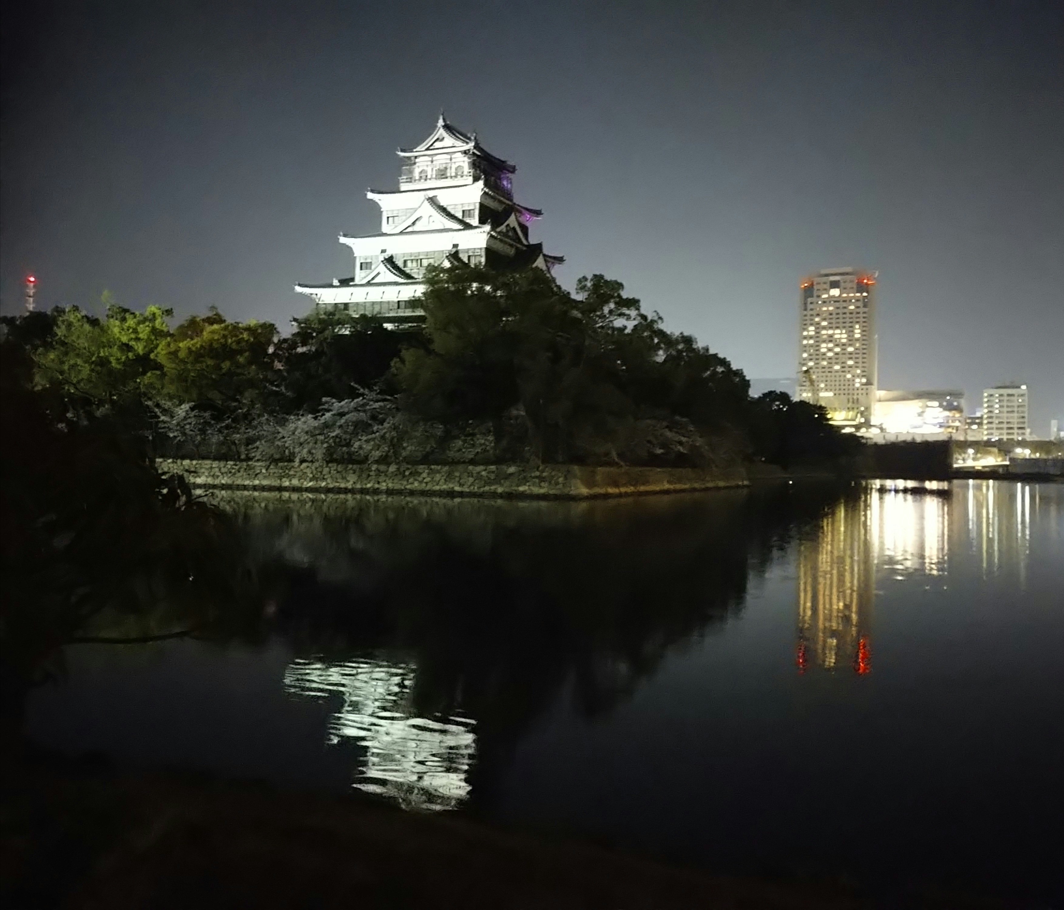 池の反射の写真 | ロイヤリティフリー & 高解像度画像を無料