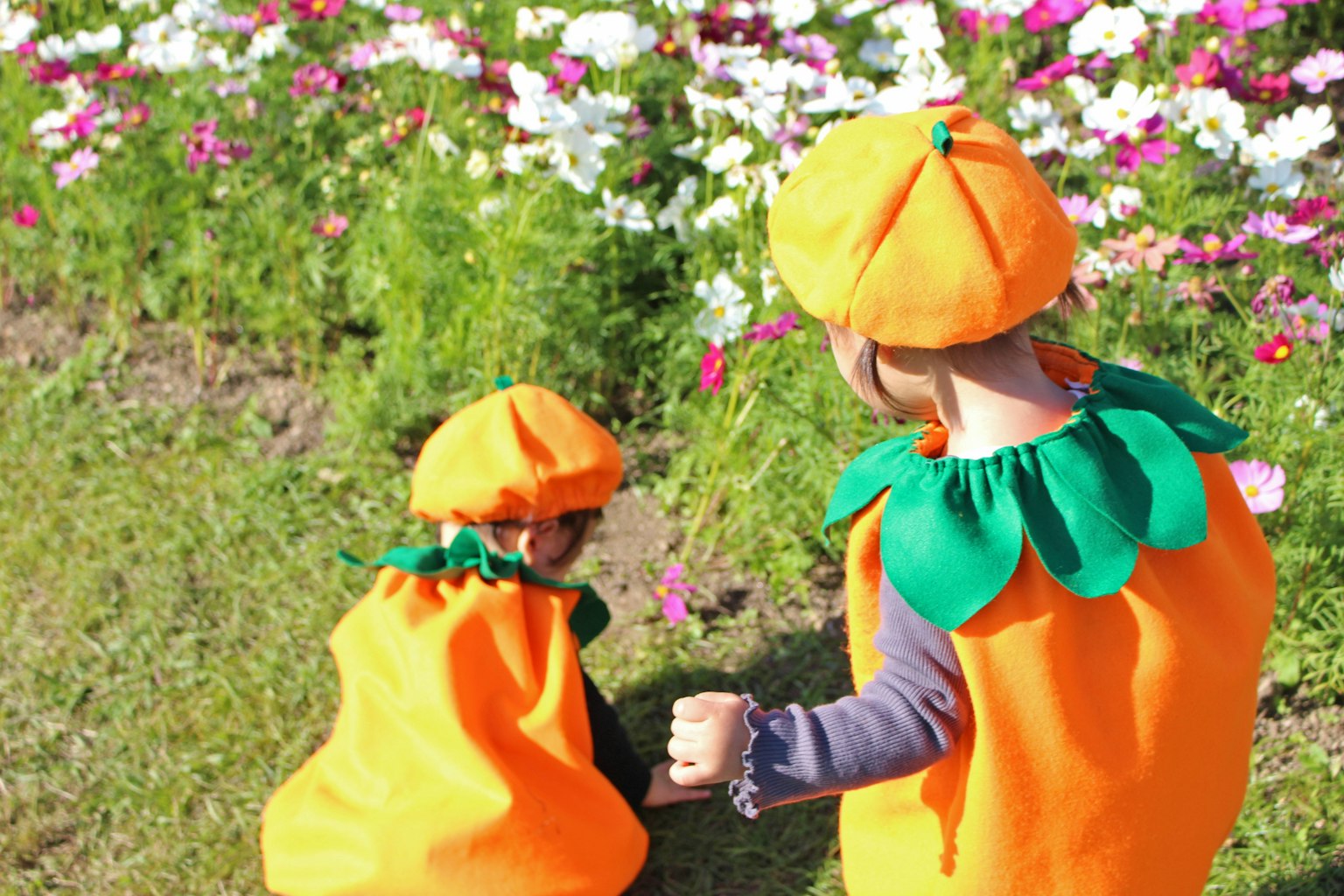 Bambini vestiti con costumi di zucca arancioni che camminano davanti ai fiori
