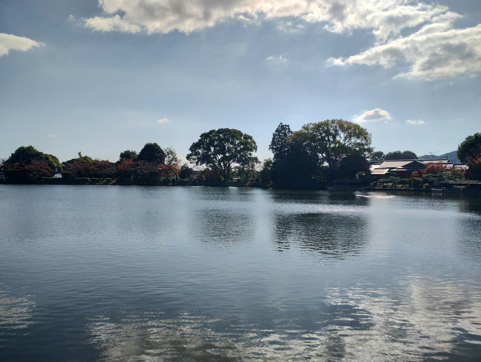 Lago tranquilo que refleja árboles y cielo azul
