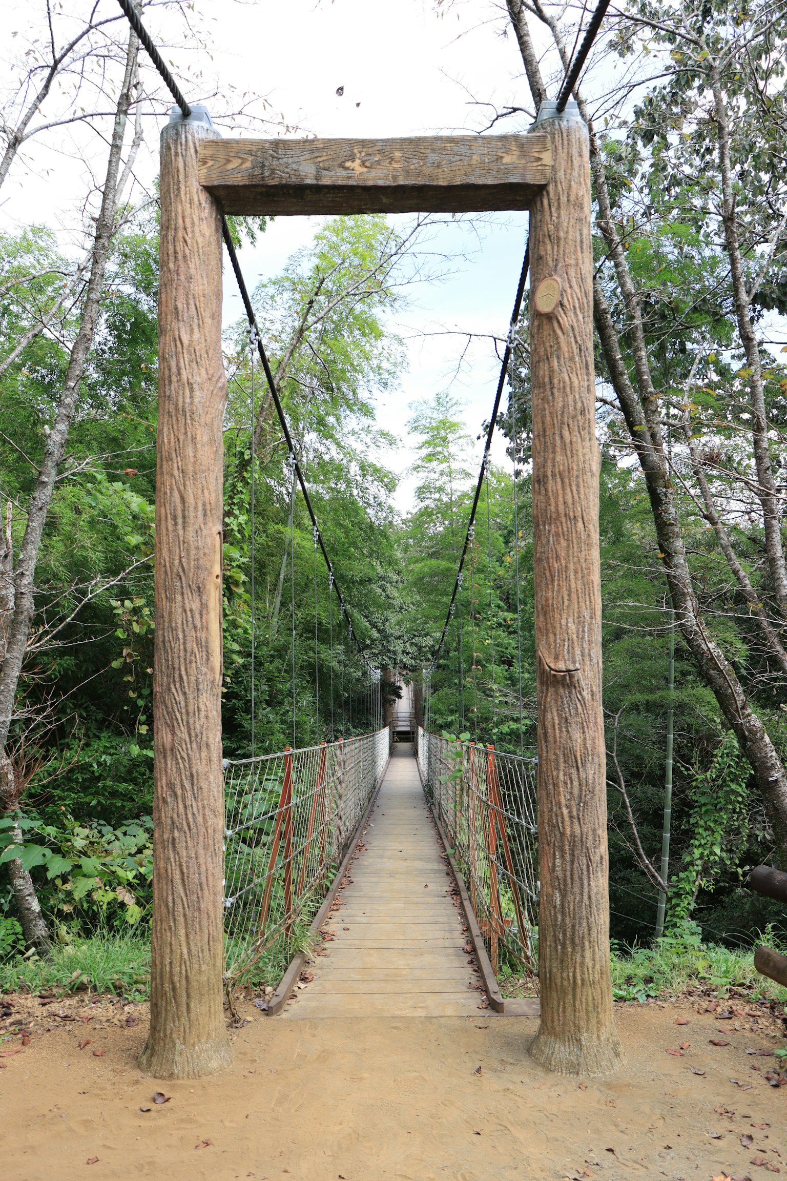 Jembatan gantung kayu yang menuju hutan hijau