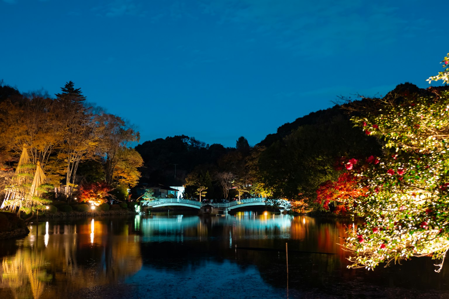 Vista notturna di uno stagno del parco con ponte illuminato e fogliame autunnale