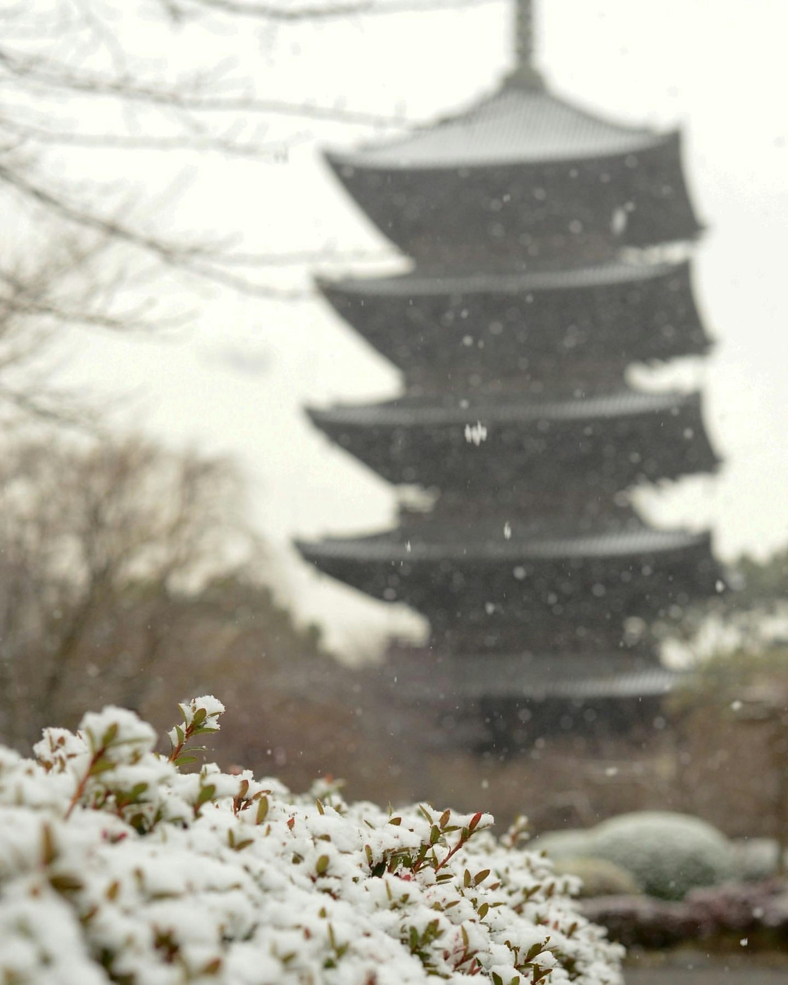 Scena innevata con una pagoda e fiori bianchi in primo piano